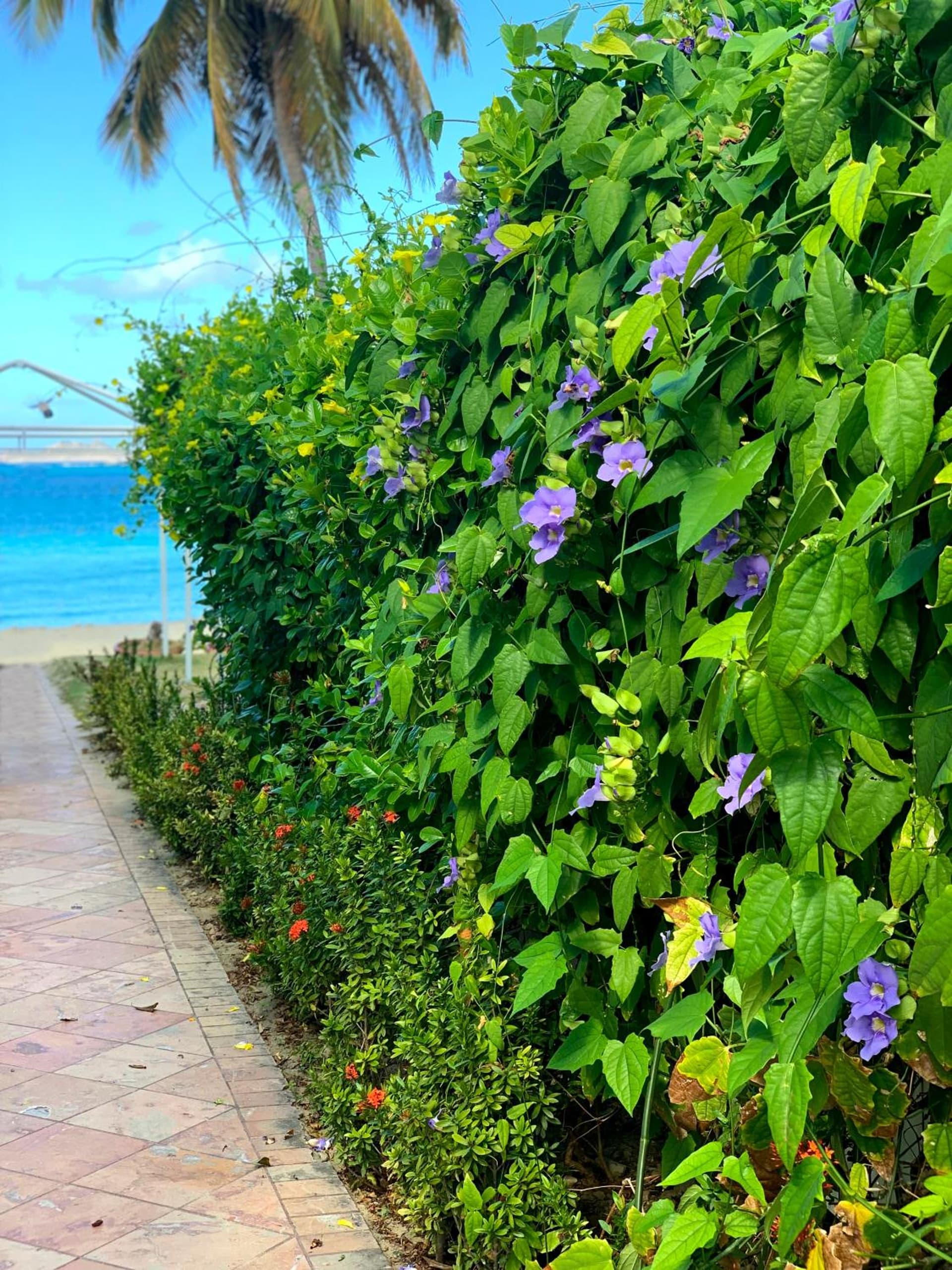 Emerald Beach Resort - Photo 60