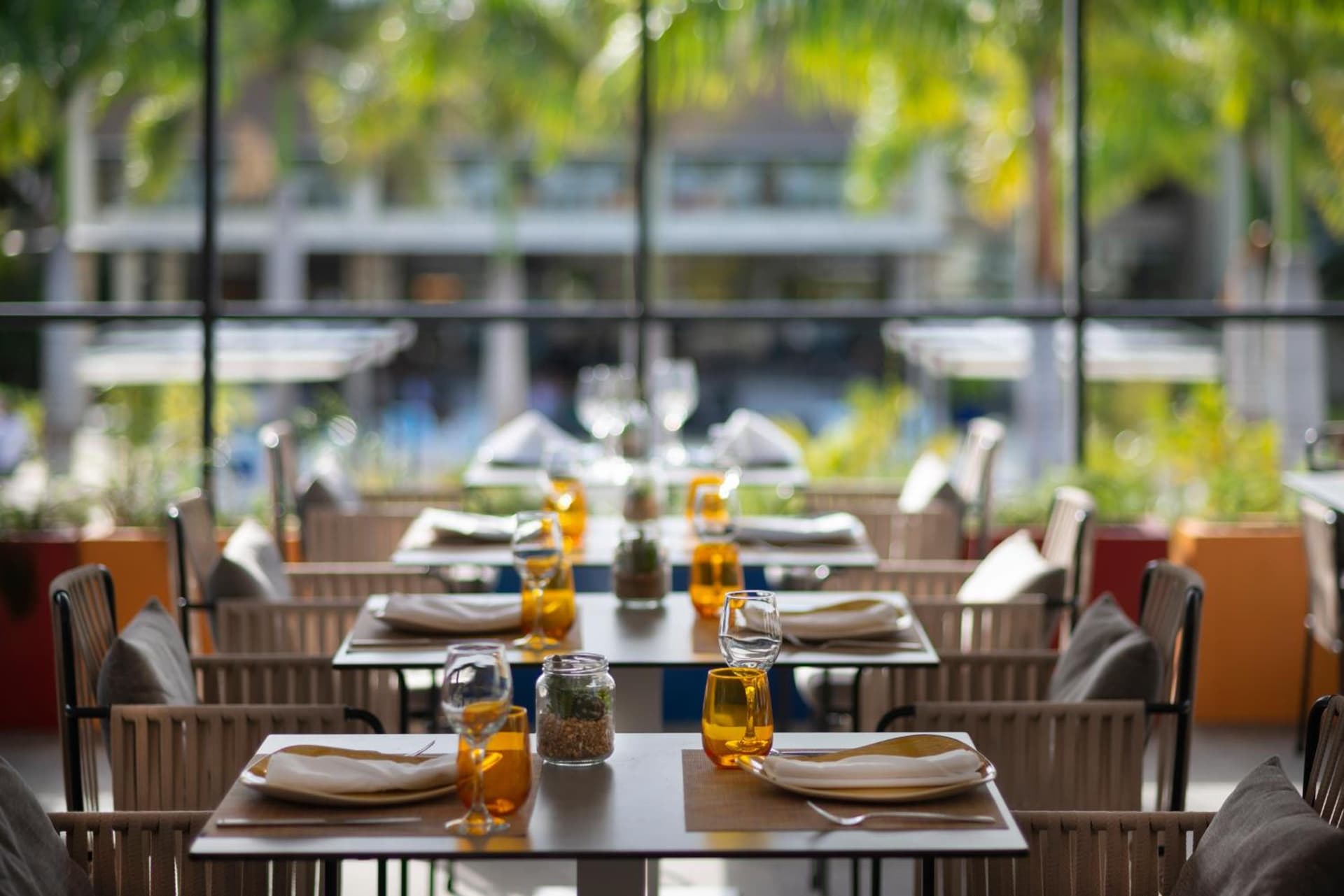 Catalonia Royal La Romana Adults Only - All Inclusive - Photo 7