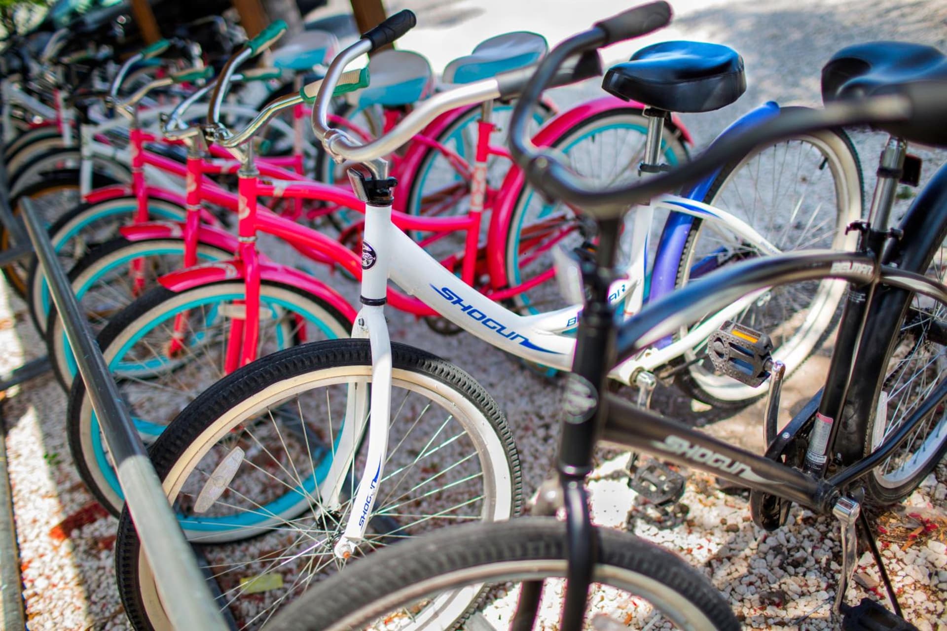 Viva Fortuna Beach by Wyndham, A Trademark All Inclusive - Photo 161