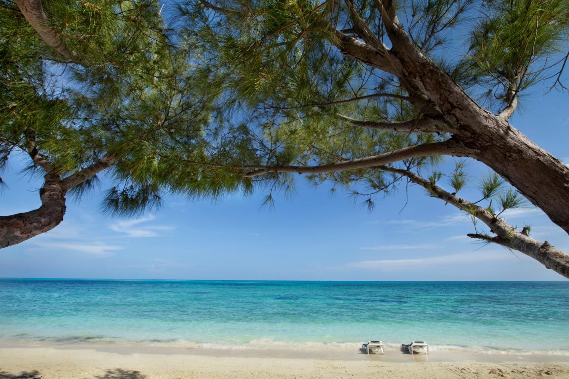 Viva Fortuna Beach by Wyndham, A Trademark All Inclusive - Photo 145