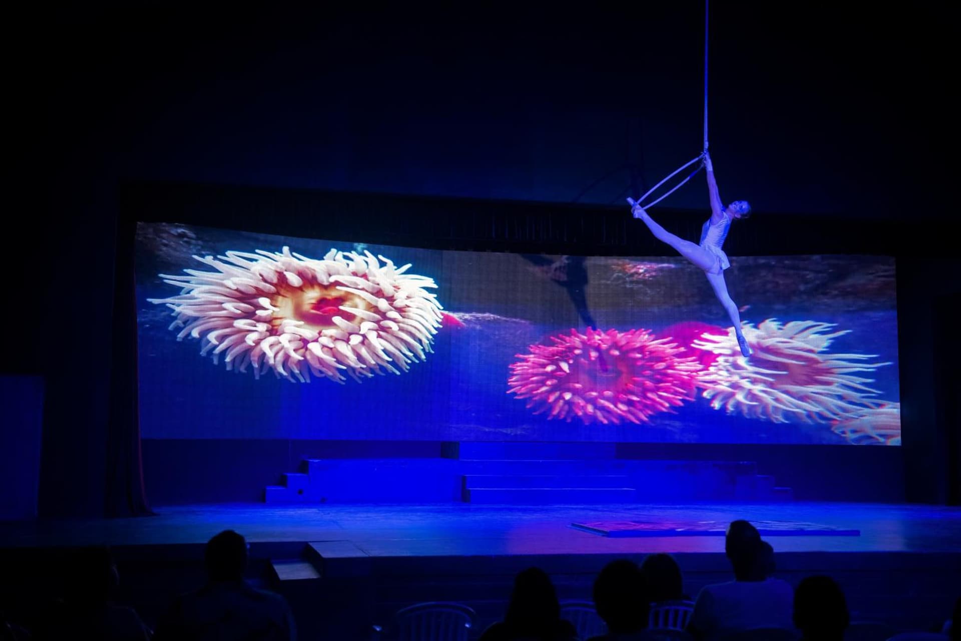 Viva Fortuna Beach by Wyndham, A Trademark All Inclusive - Photo 168