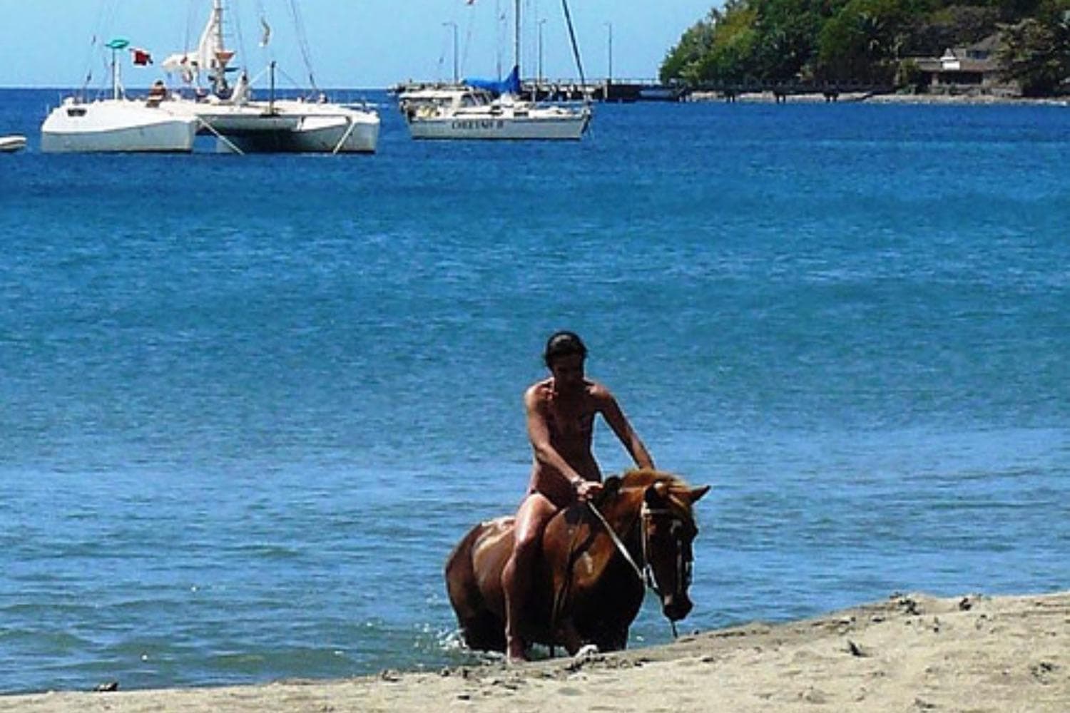 The Champs - Photo 10