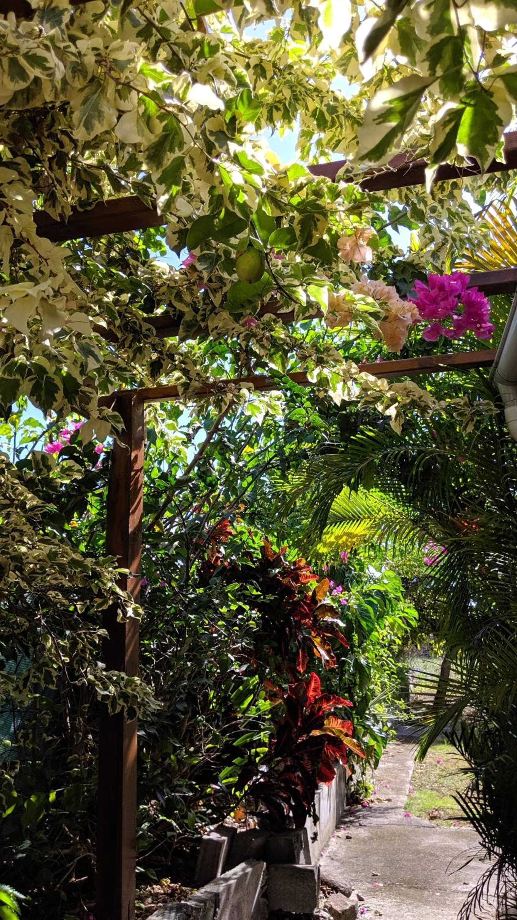 Villa Rosa Karibella - Photo 76