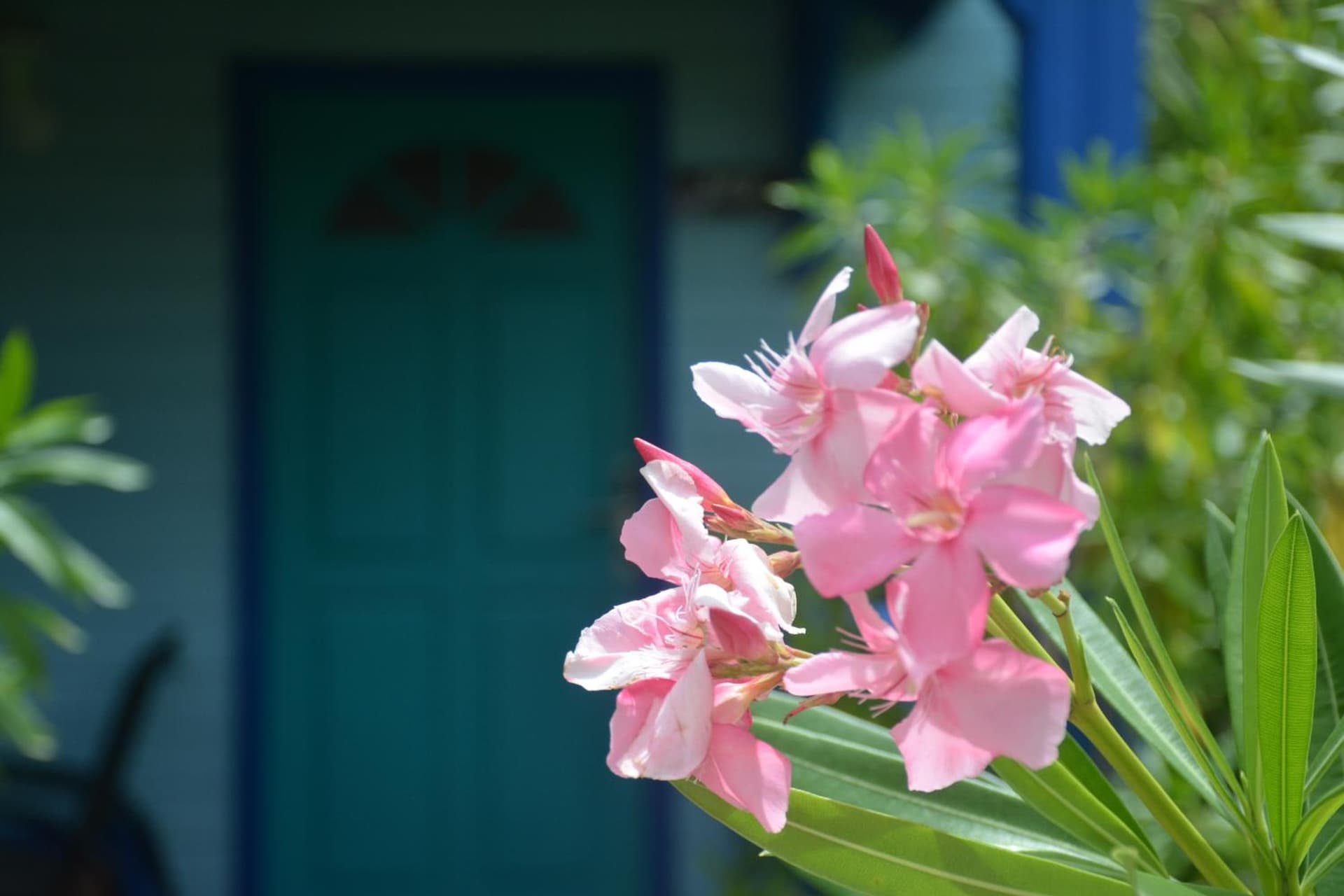 Hotel Bambou - Photo 109