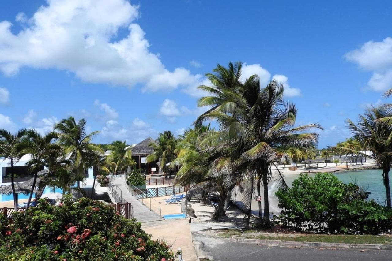 Studio Methys des Iles -Manganao Saint françois 971 - Photo 28