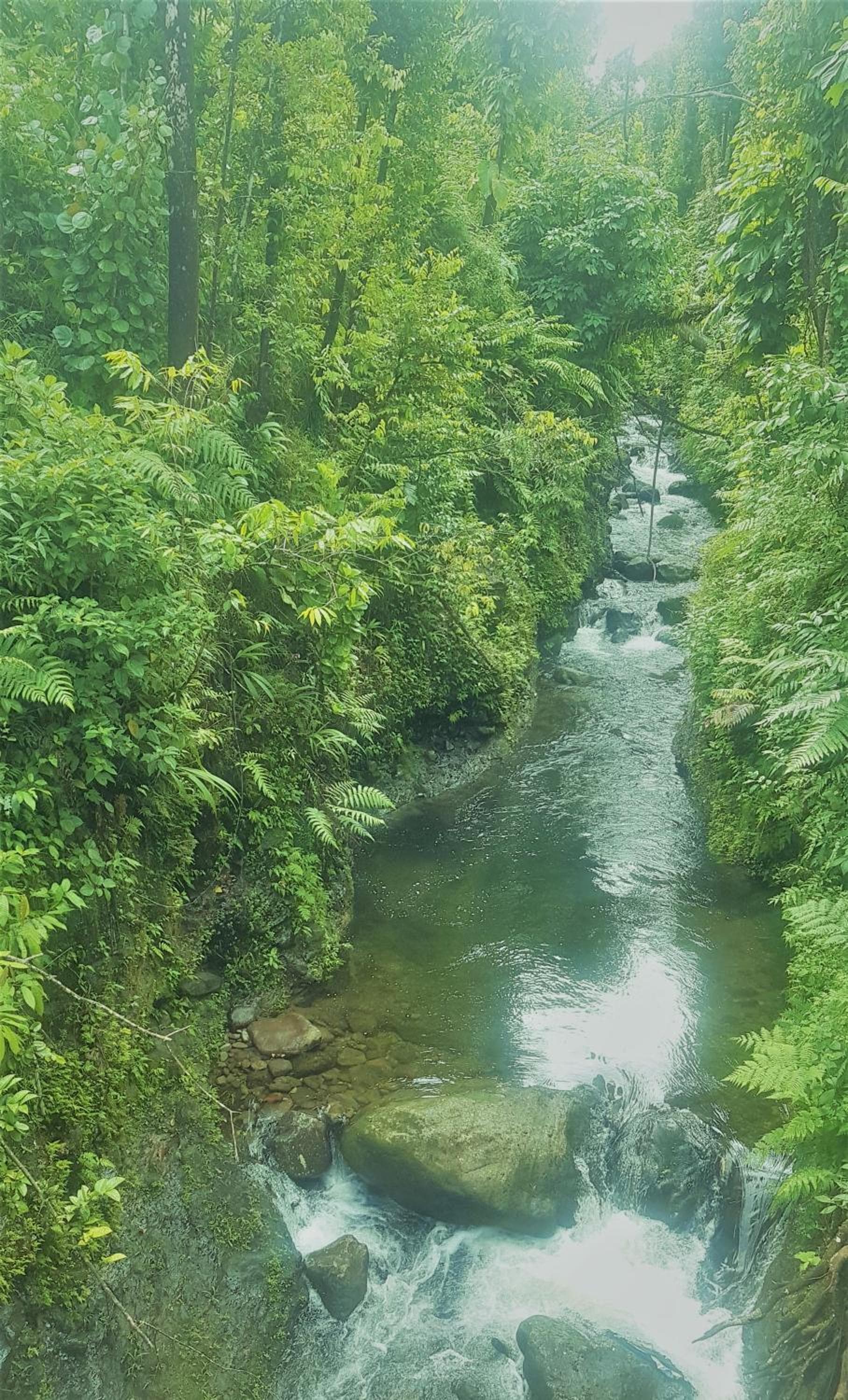 Serenity Lodges Dominica - Photo 25