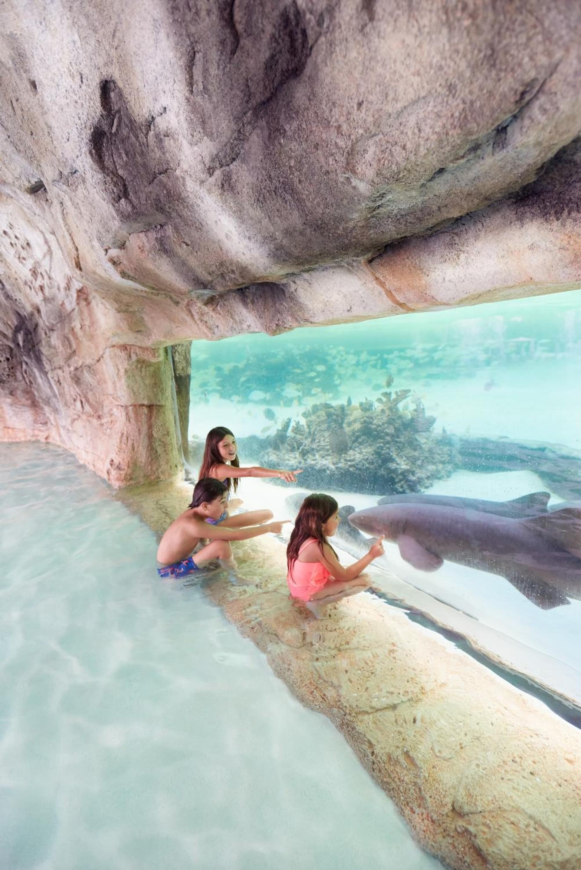 SLS at Baha Mar - Photo 61