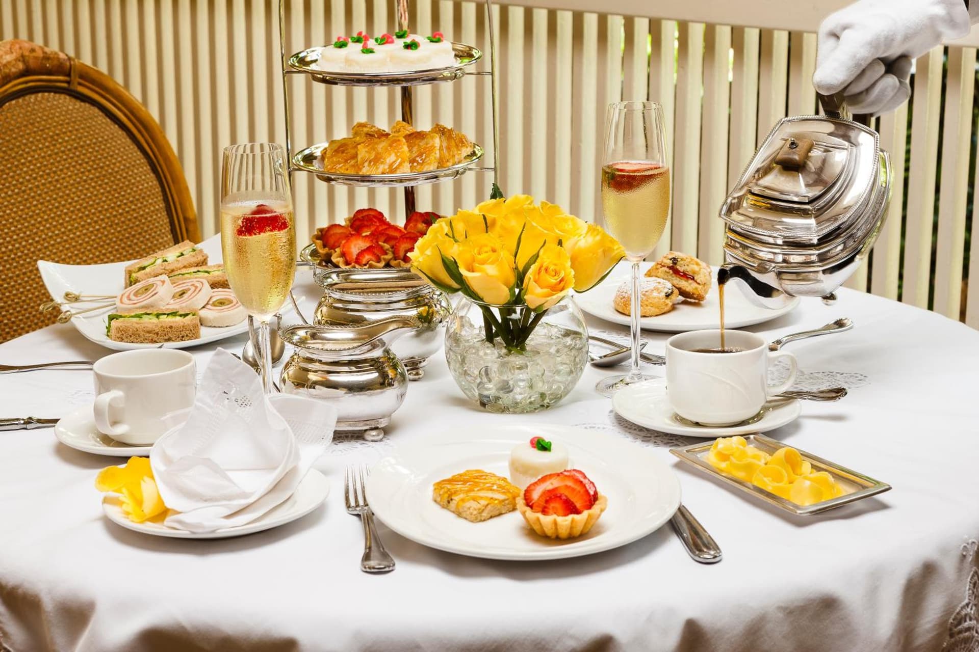 Terra Nova, BW Premier Collection - Photo 3