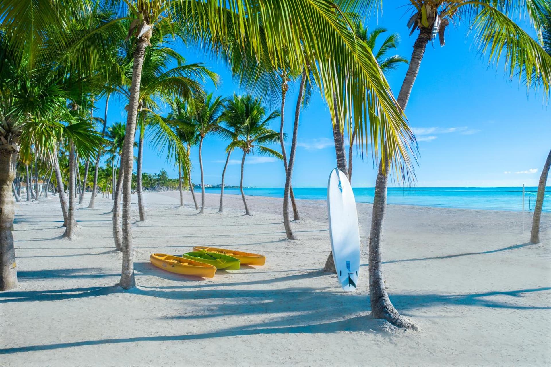 Hyatt Ziva Cap Cana - Photo 65