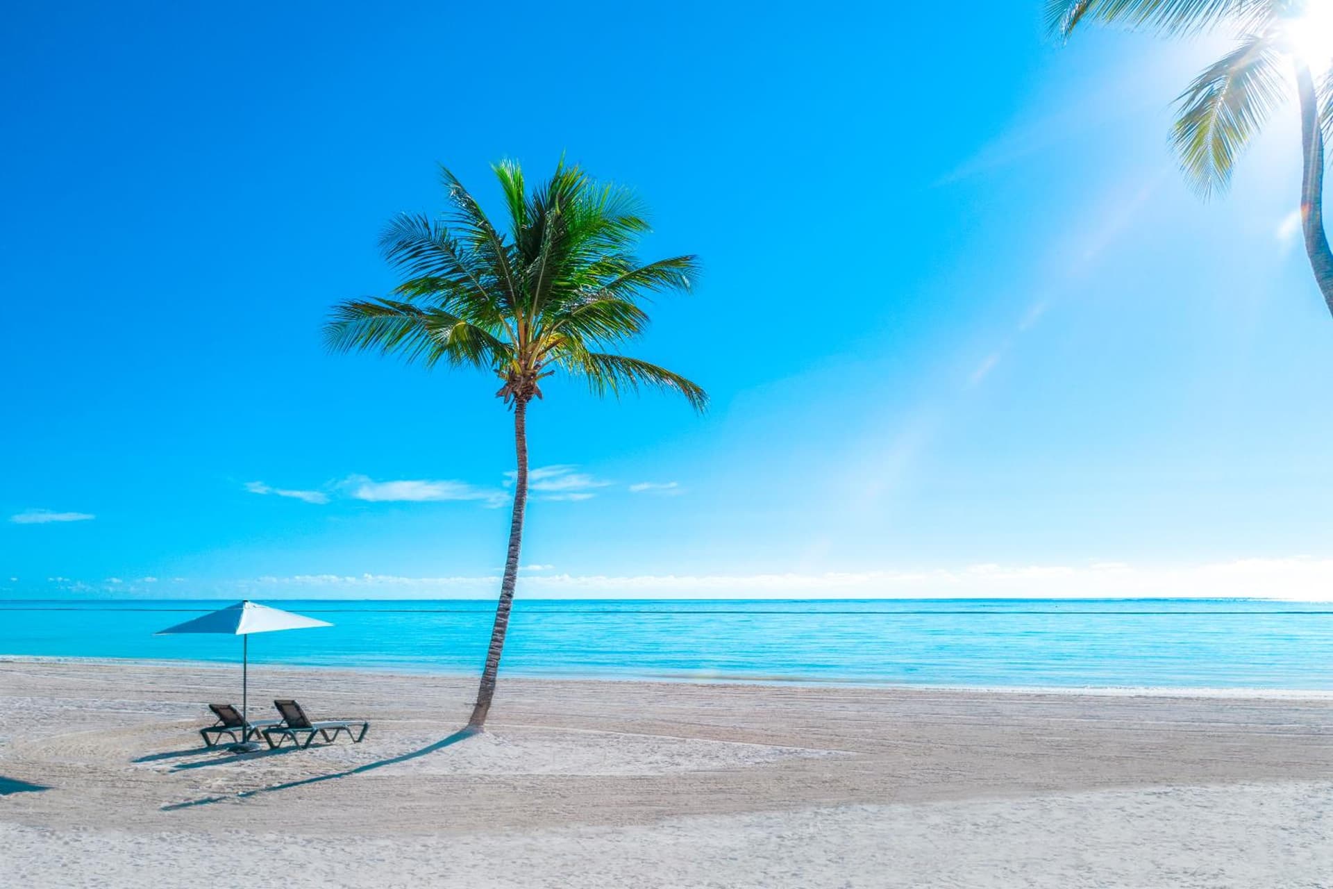 Hyatt Ziva Cap Cana - Photo 66