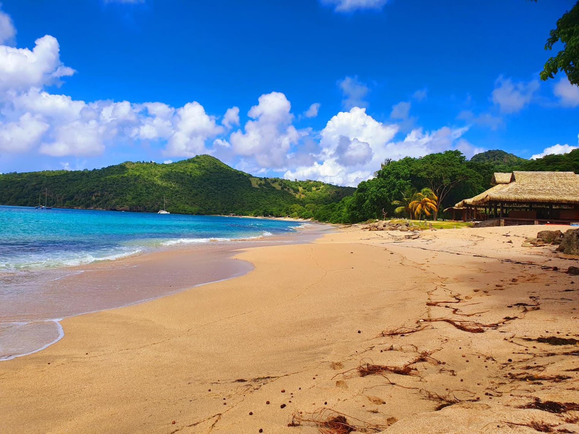 Tenuta Chatham Bay - Photo 23