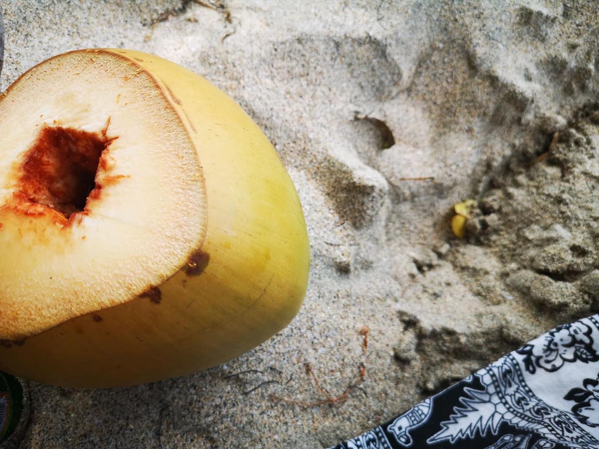 Tenuta Chatham Bay - Photo 71