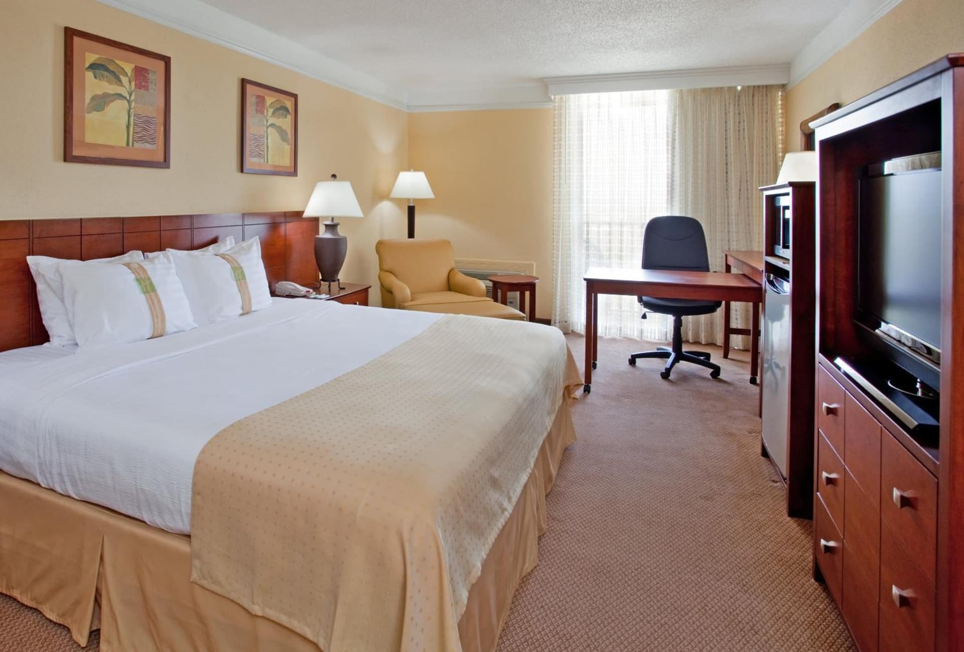 Holiday Inn Ponce & El Tropical Casino by IHG - Photo 14