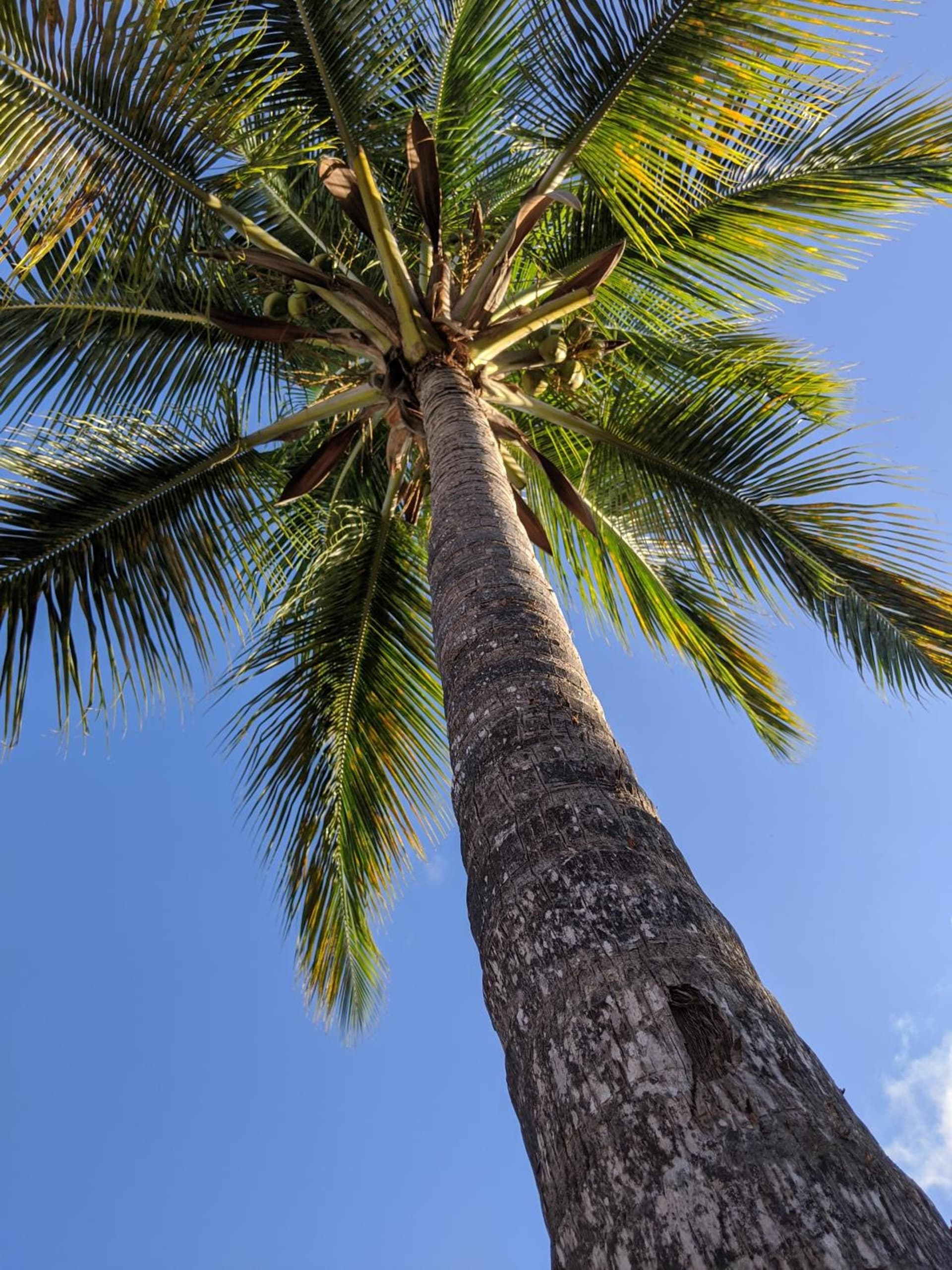 Villa Rosa Karibella - Photo 28