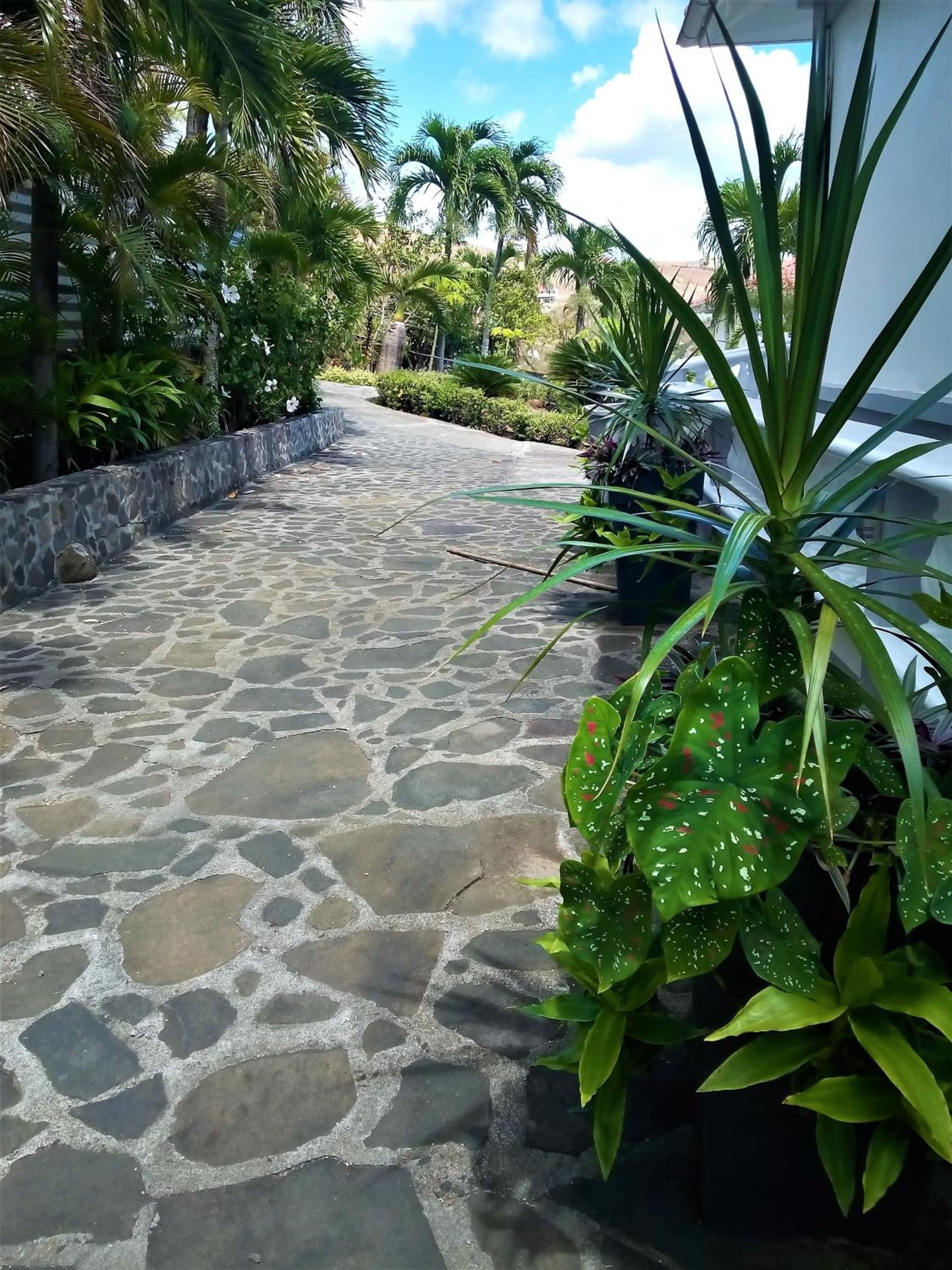 Caribbean Sea View Holiday Apartments - Photo 22