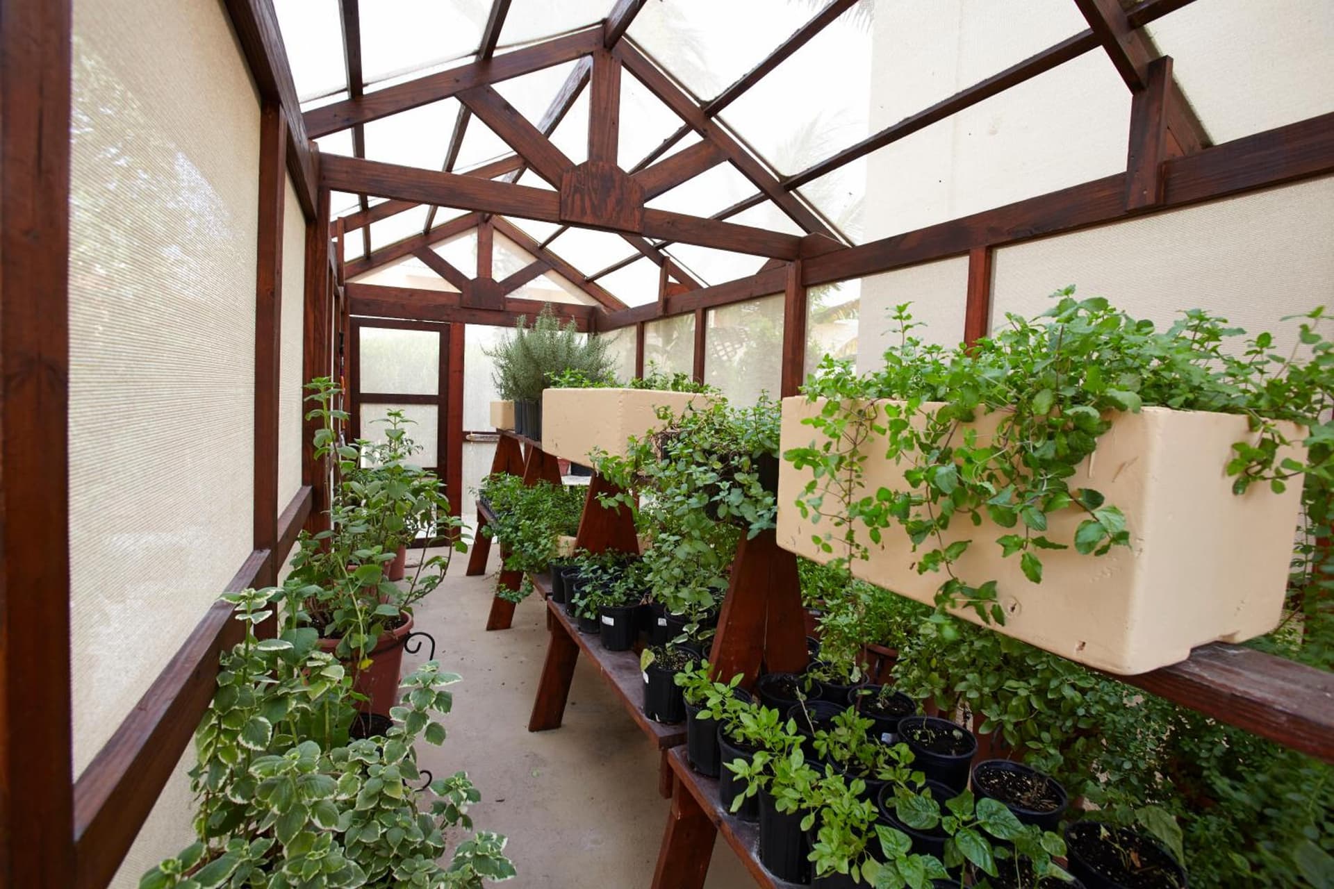 Manchebo Beach Resort and Spa - Photo 14