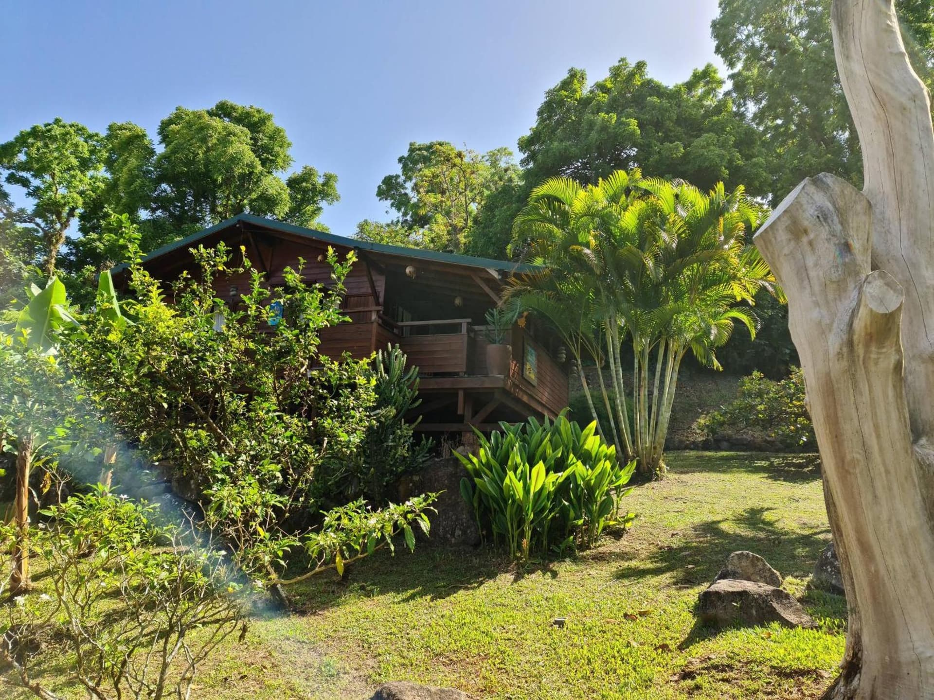Les Bananes Vertes Ecolodges - Photo 24