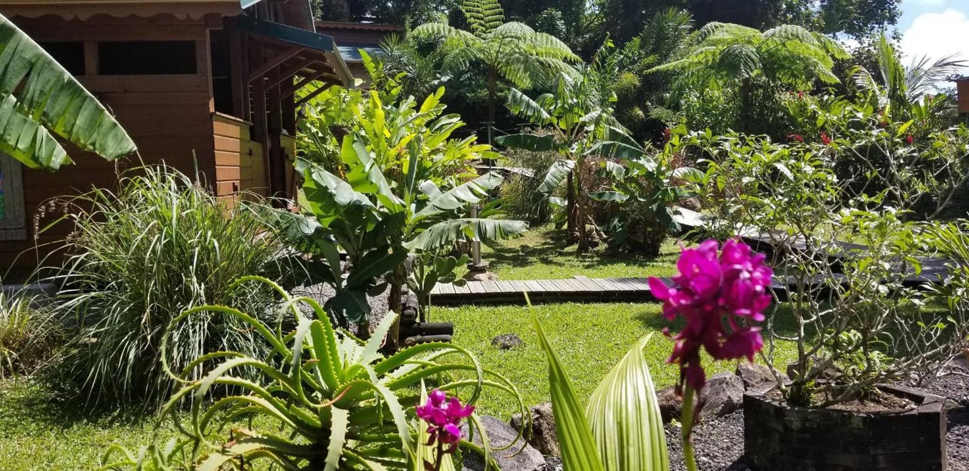 Les Bananes Vertes Ecolodges - Photo 27