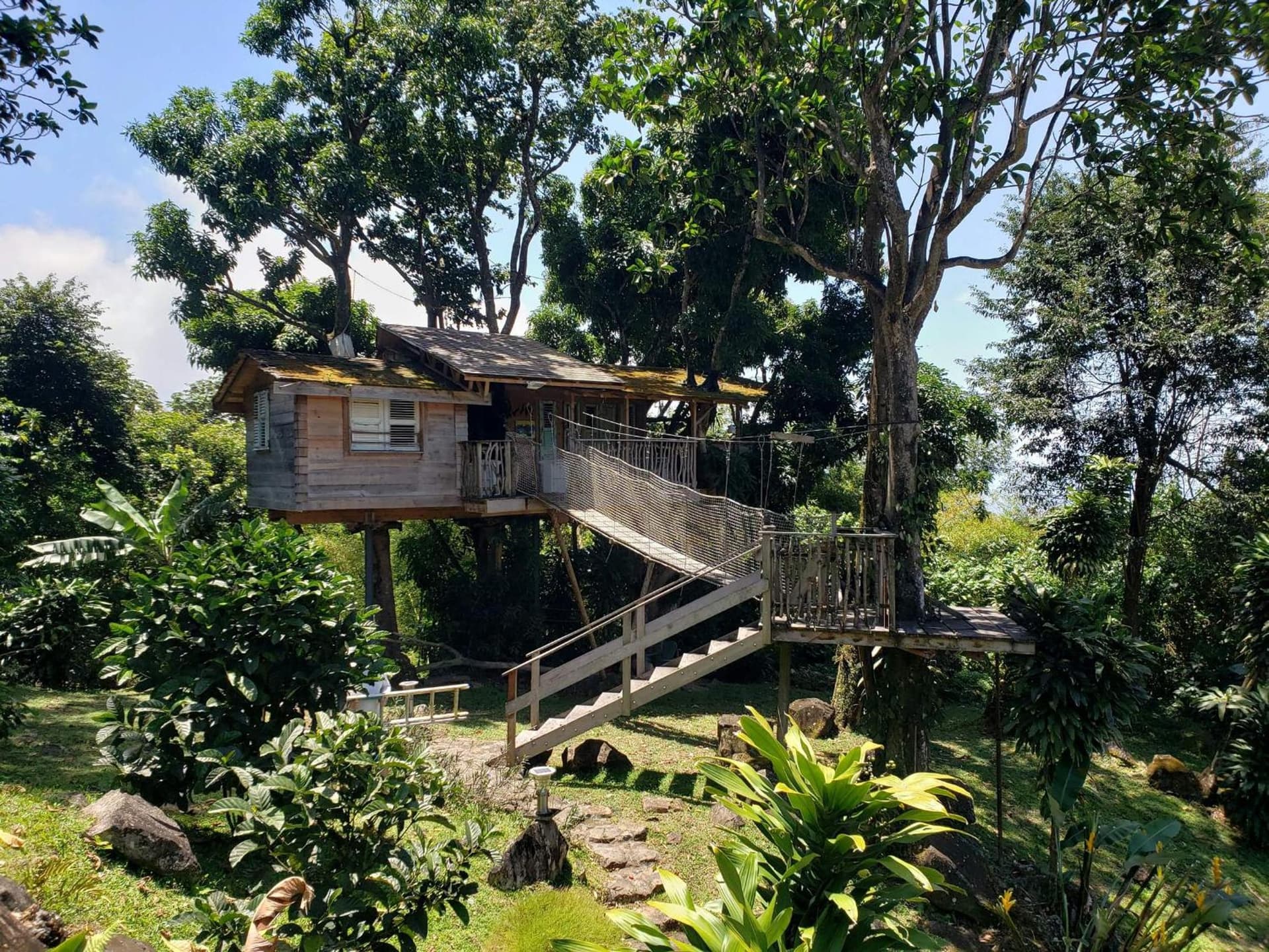 Les Bananes Vertes Ecolodges - Photo 21