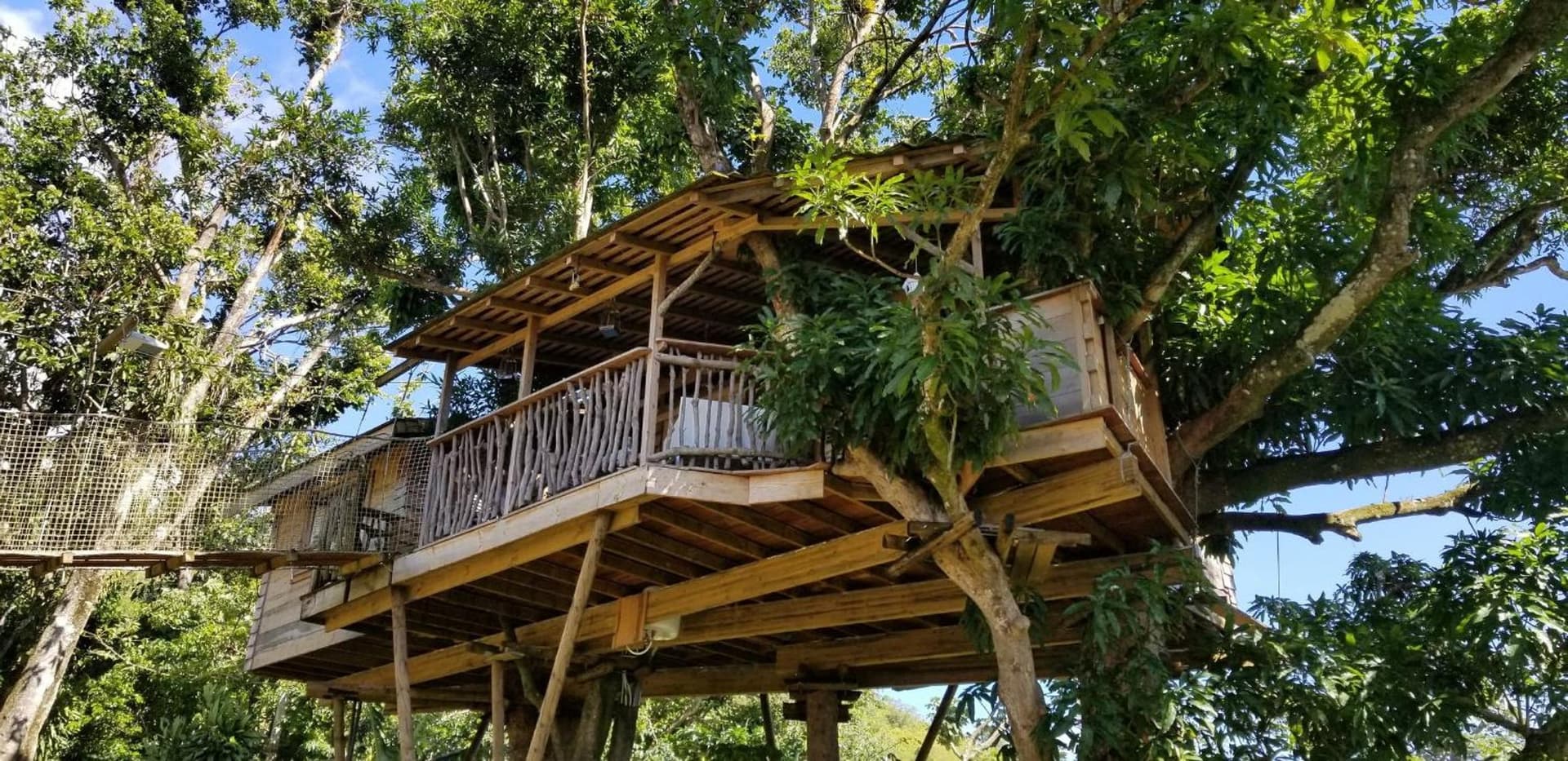 Les Bananes Vertes Ecolodges - Photo 23