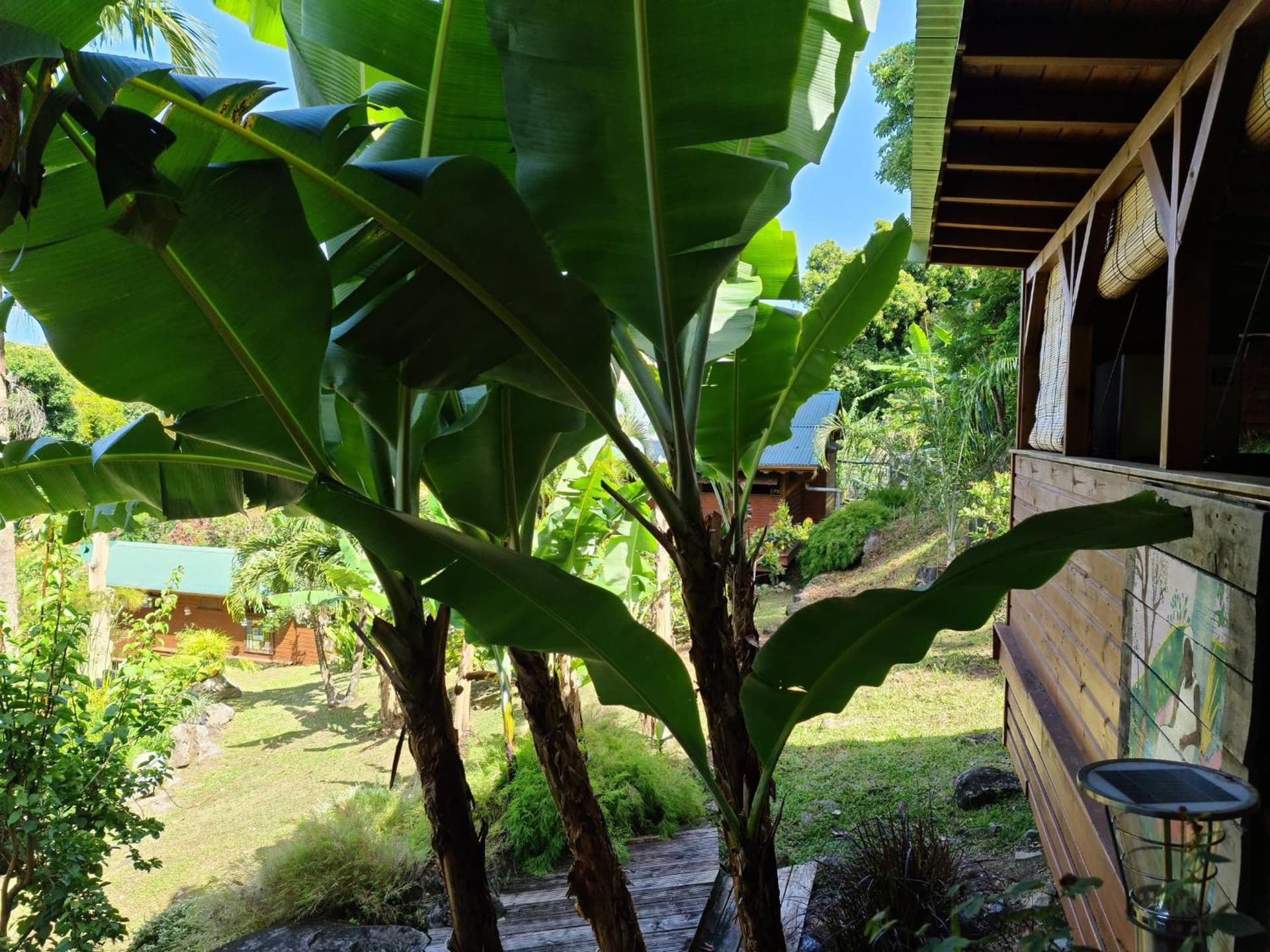 Les Bananes Vertes Ecolodges - Photo 16