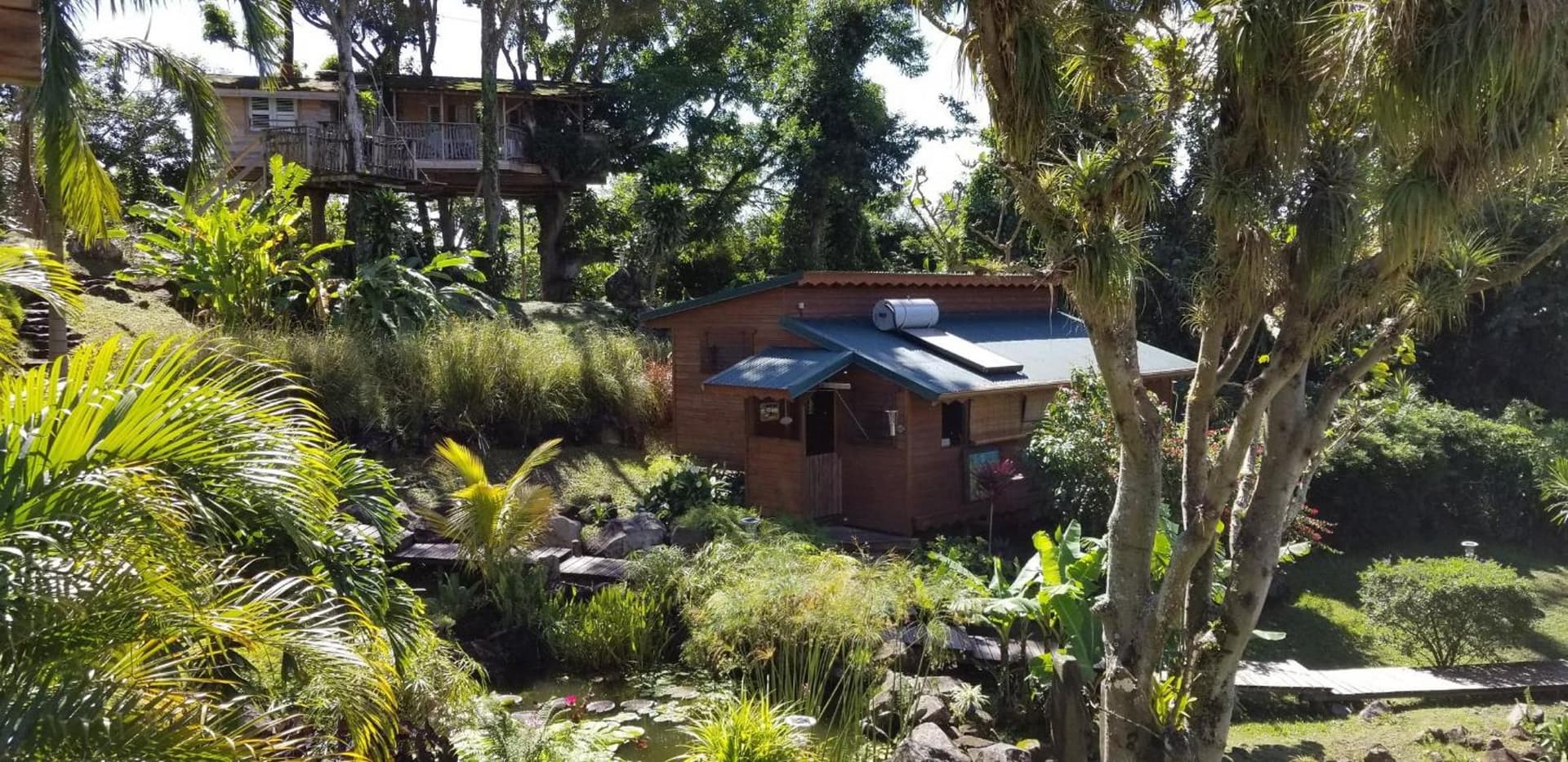 Les Bananes Vertes Ecolodges - Photo 97