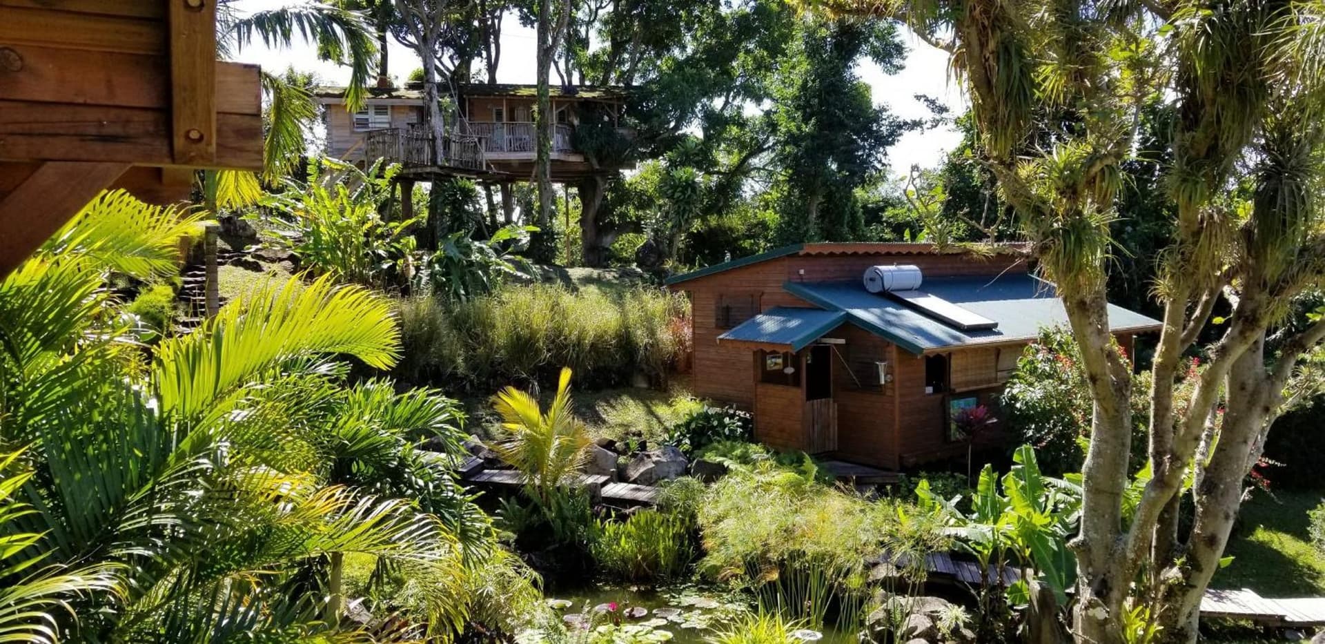 Les Bananes Vertes Ecolodges - Photo 20