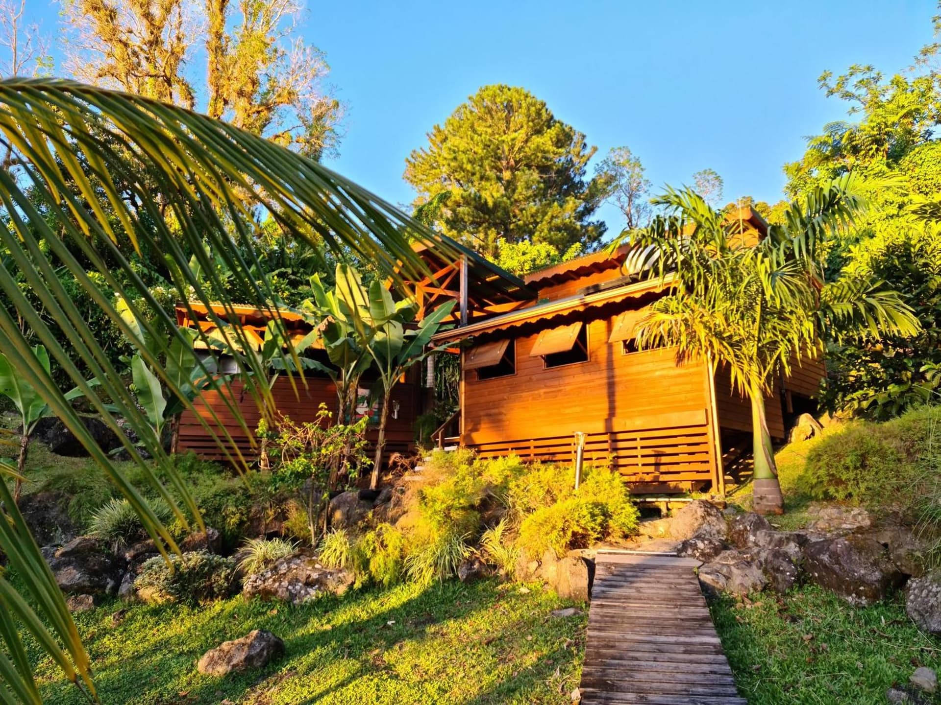 Les Bananes Vertes Ecolodges - Photo 2