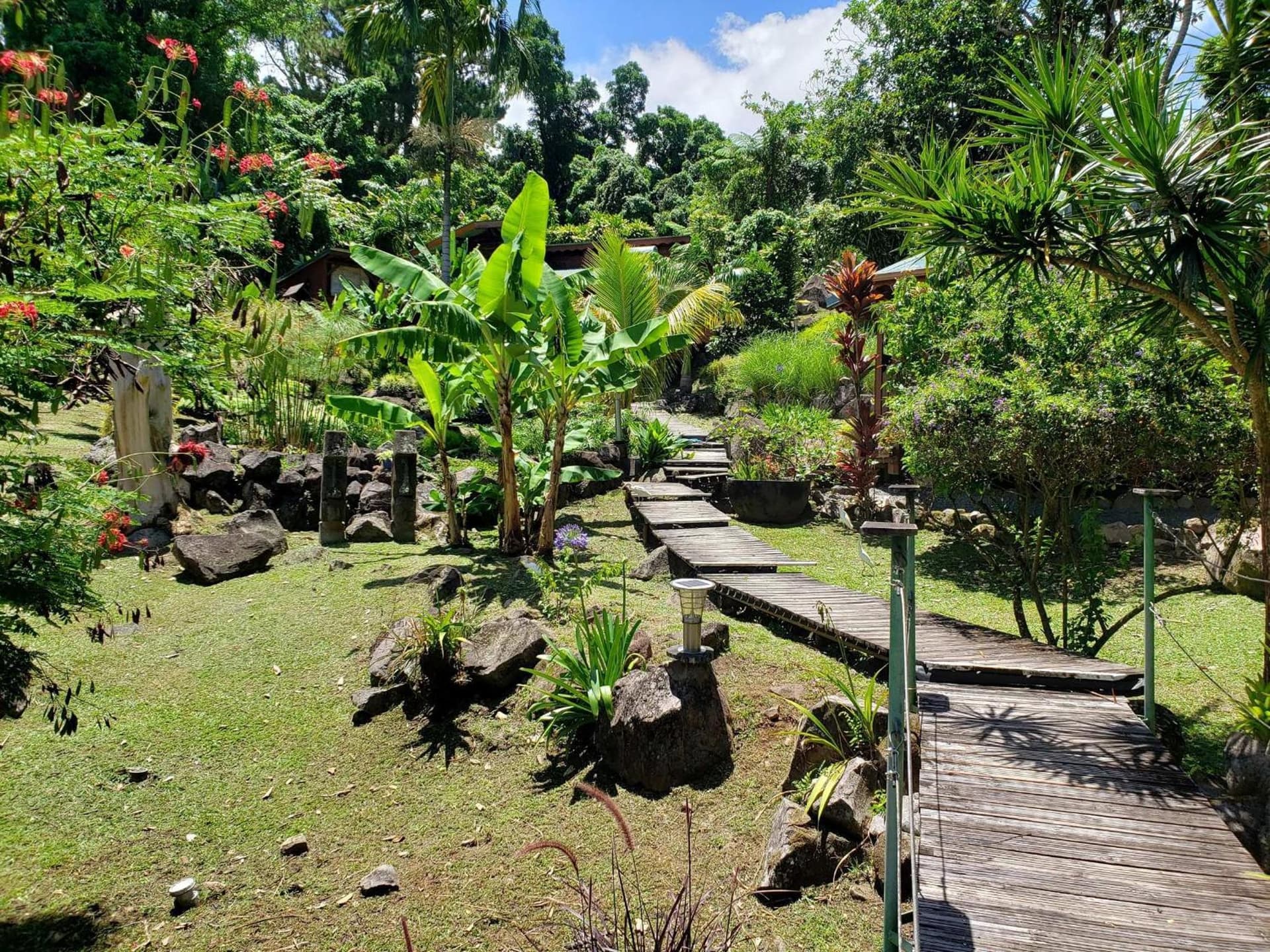 Les Bananes Vertes Ecolodges - Photo 123