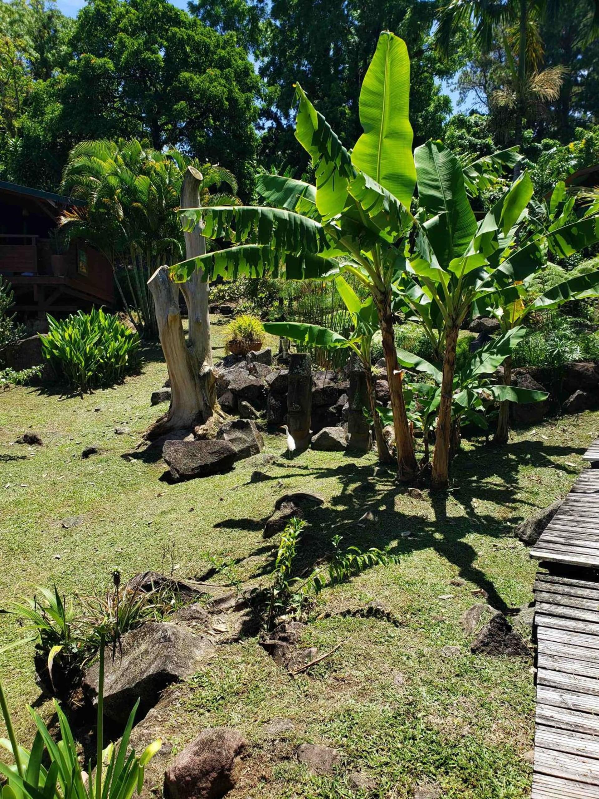 Les Bananes Vertes Ecolodges - Photo 122