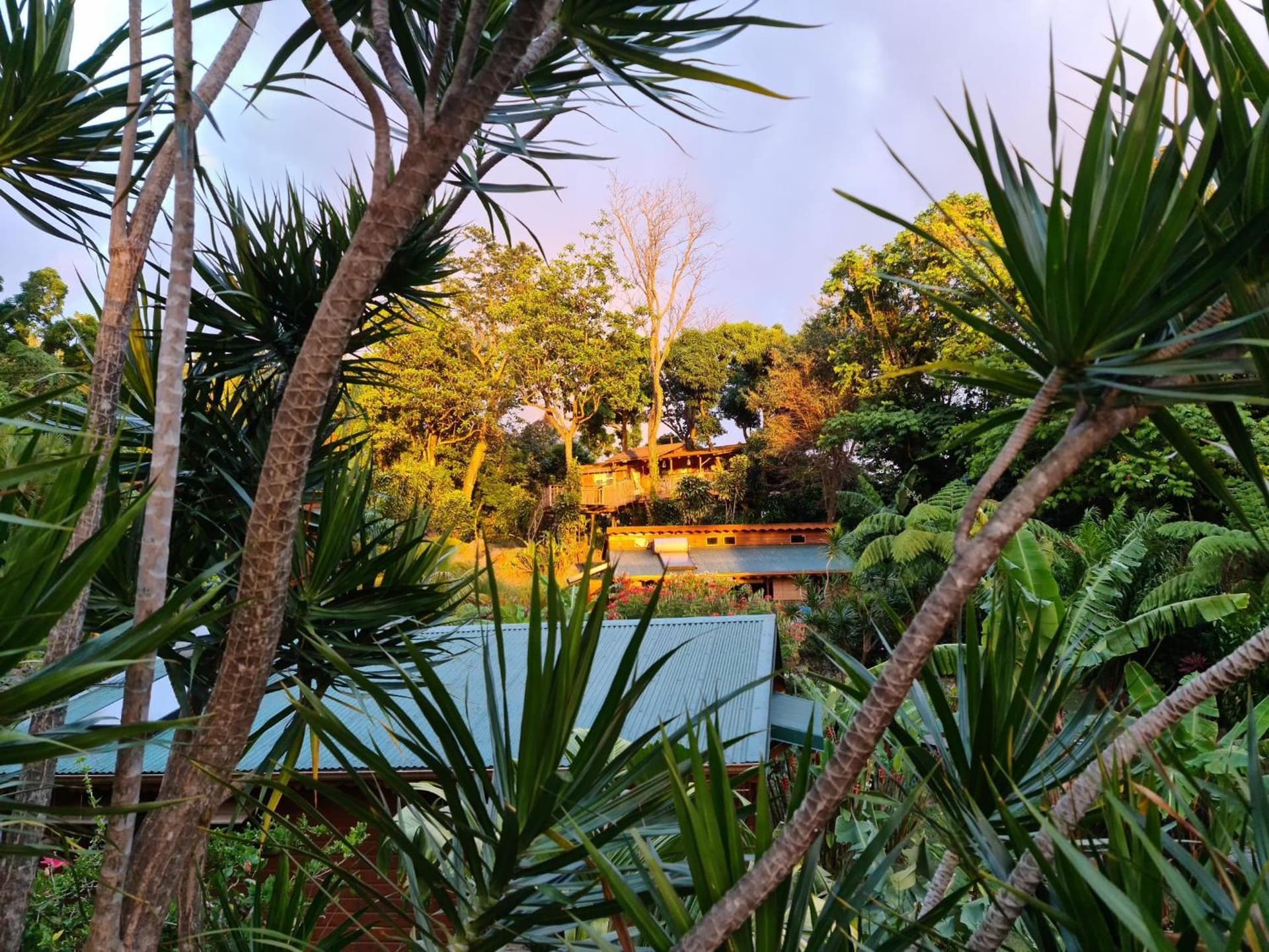 Les Bananes Vertes Ecolodges - Photo 121