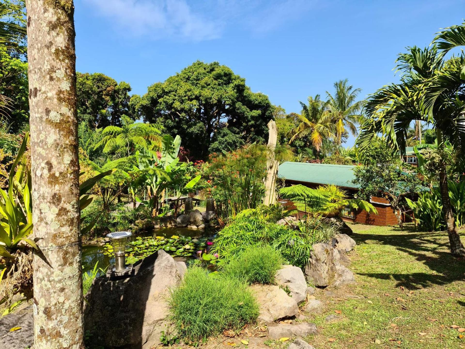 Les Bananes Vertes Ecolodges - Photo 119