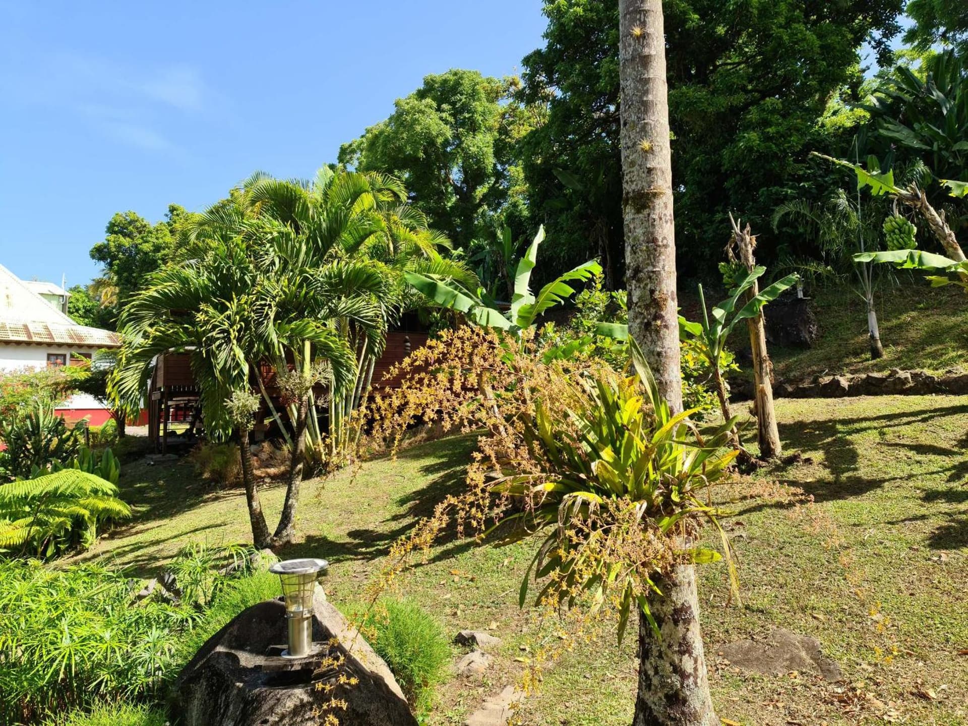 Les Bananes Vertes Ecolodges - Photo 118
