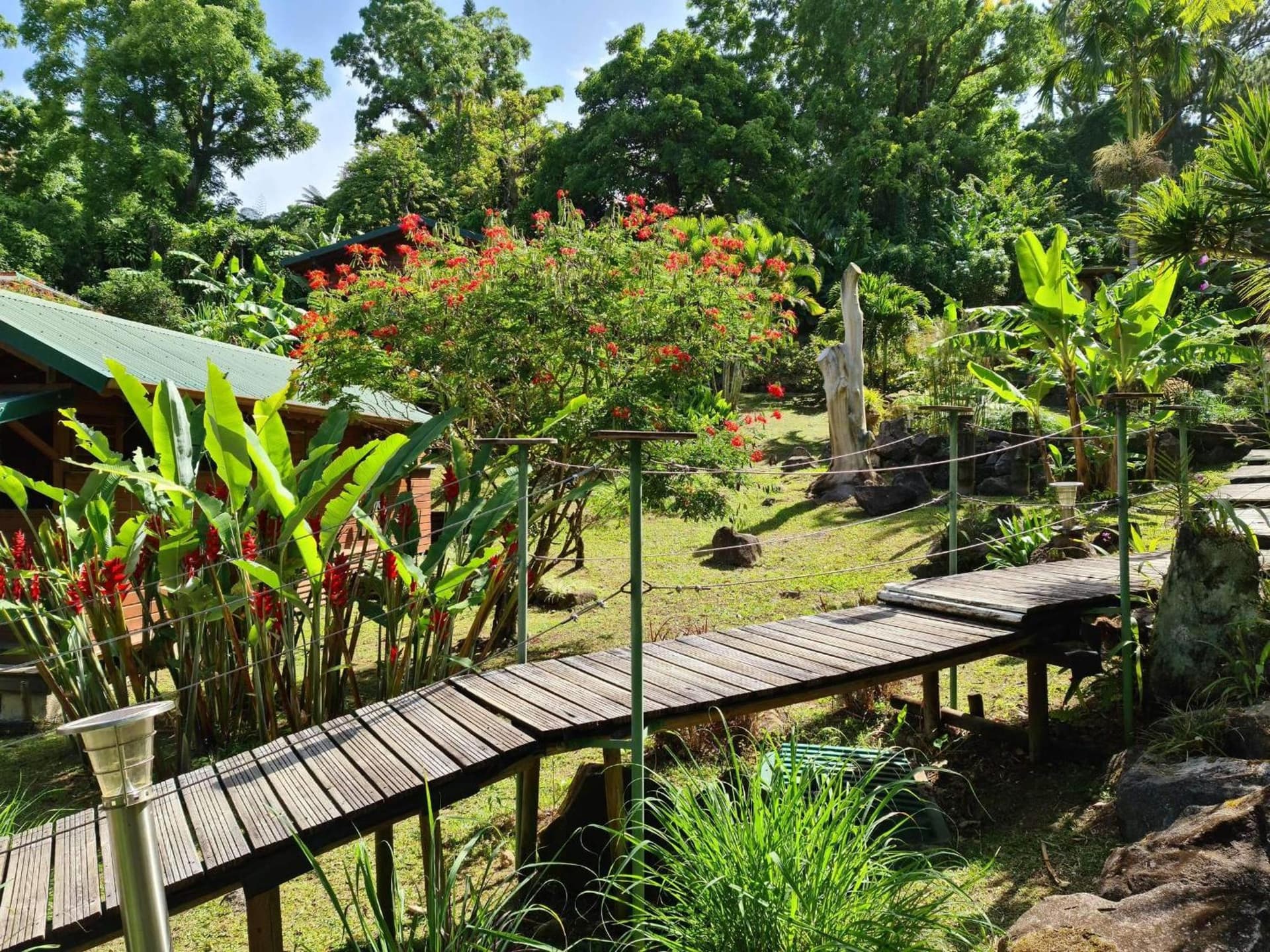 Les Bananes Vertes Ecolodges - Photo 117