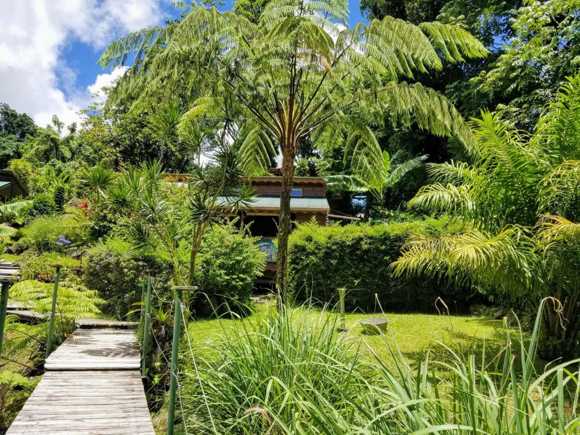 Les Bananes Vertes Ecolodges - Photo 101