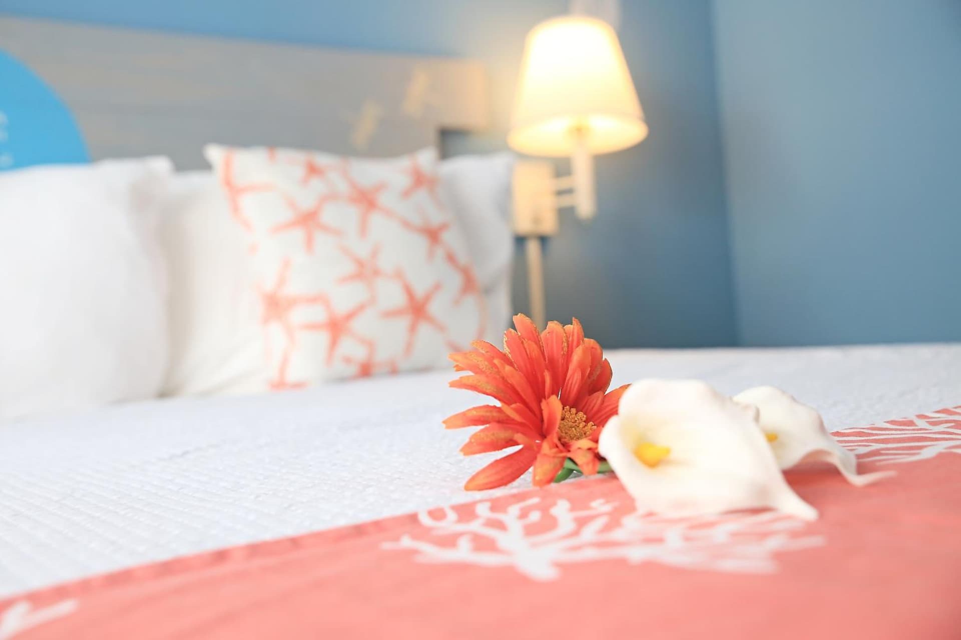 Hideaways Exuma - Photo 174