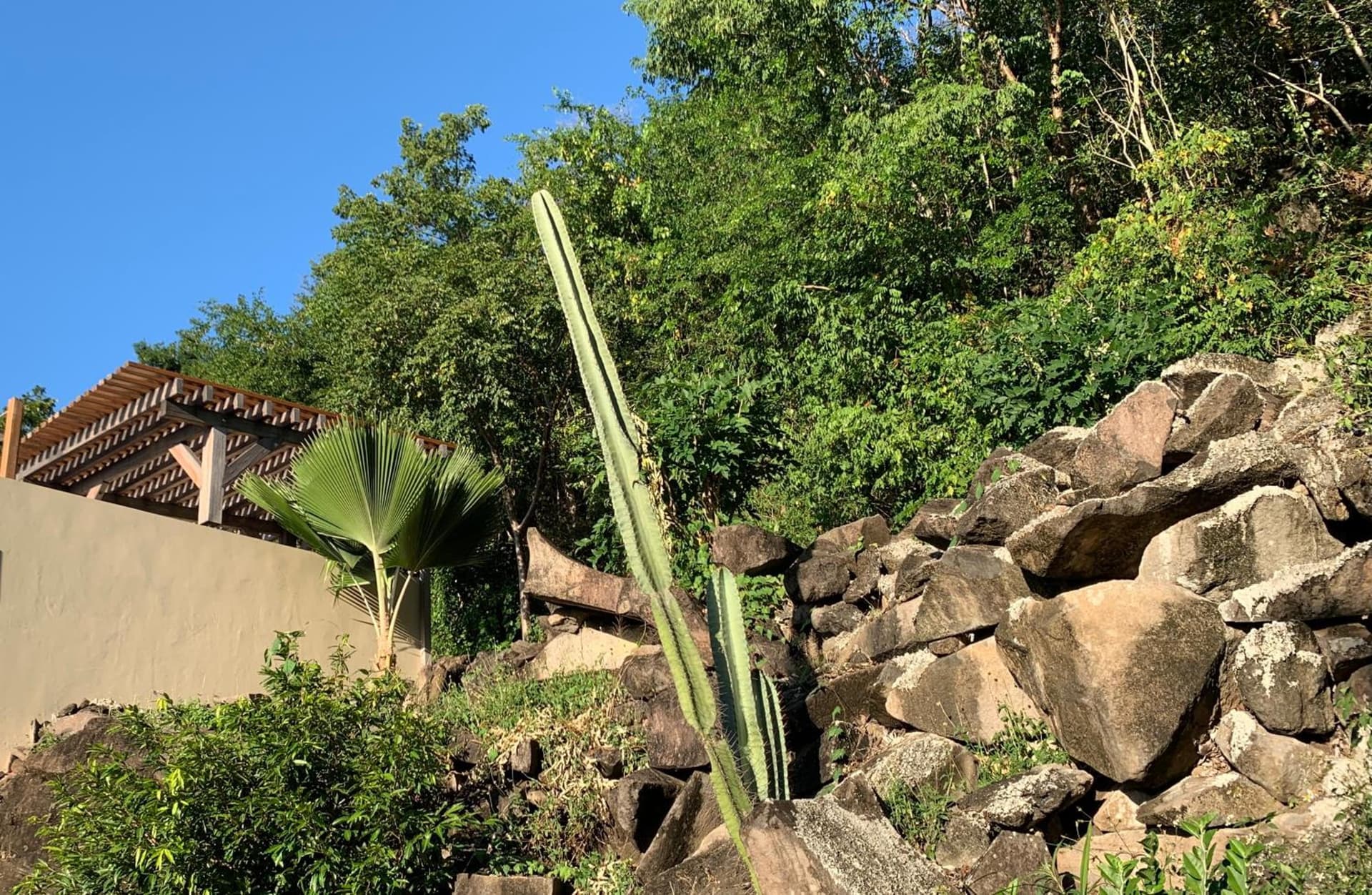 Les Cabanes Perchées - Photo 6