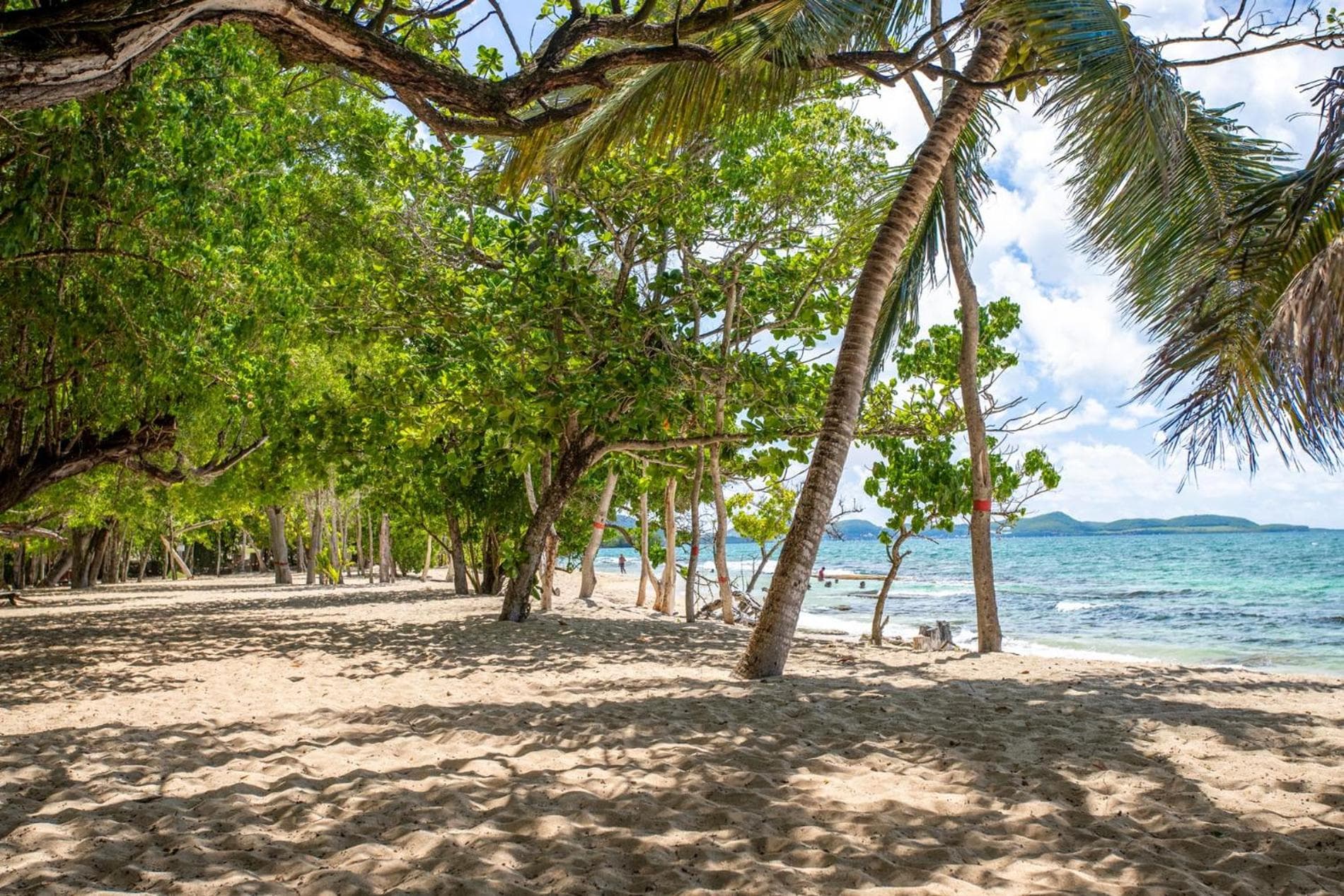 Karibea Sainte Luce Hotel - Photo 25