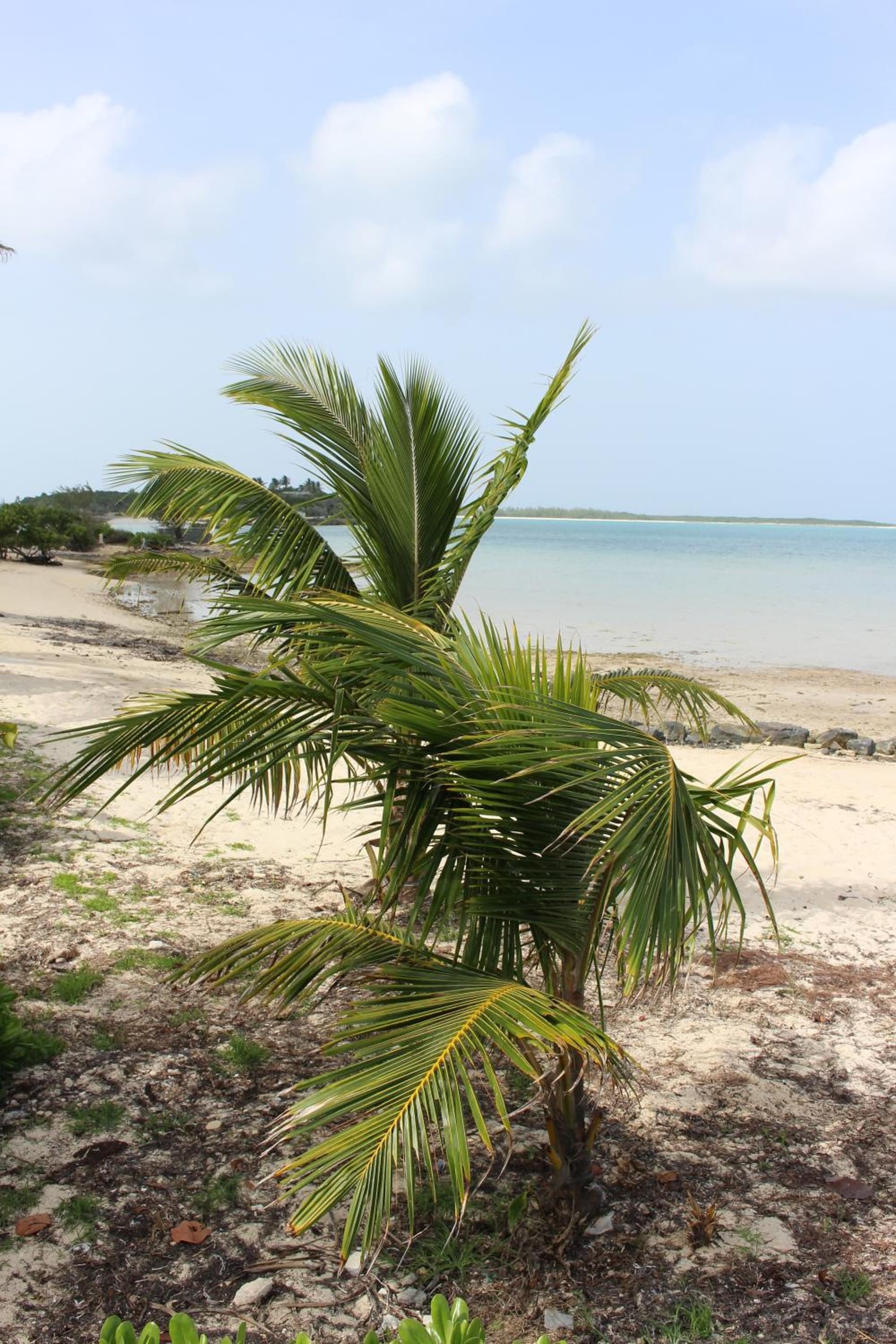 Hideaways Exuma - Photo 62