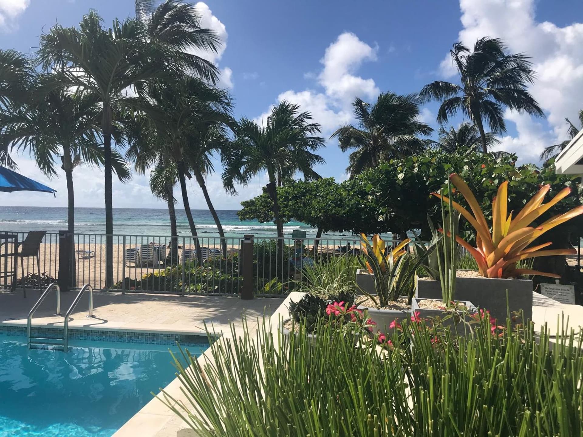 Coconut Court Beach Hotel - Photo 35