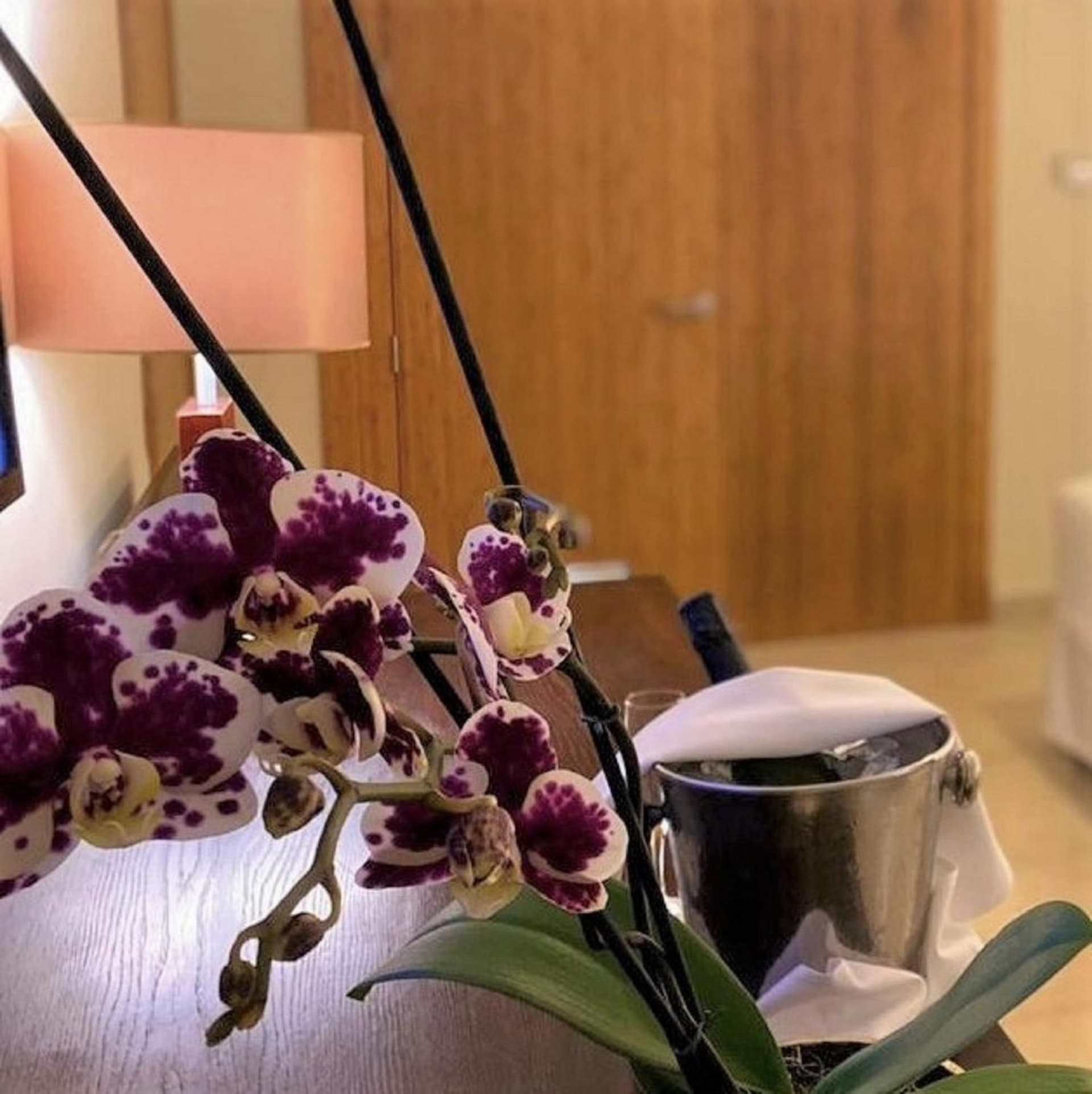 Breathless Punta Cana Resort & Spa - Adults Only - All Inclusive - Photo 18