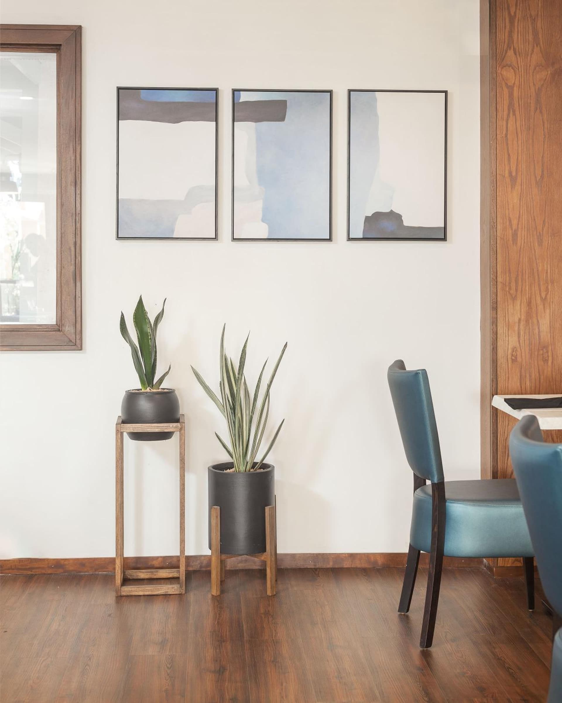 Cara Hotels Trinidad - Photo 21