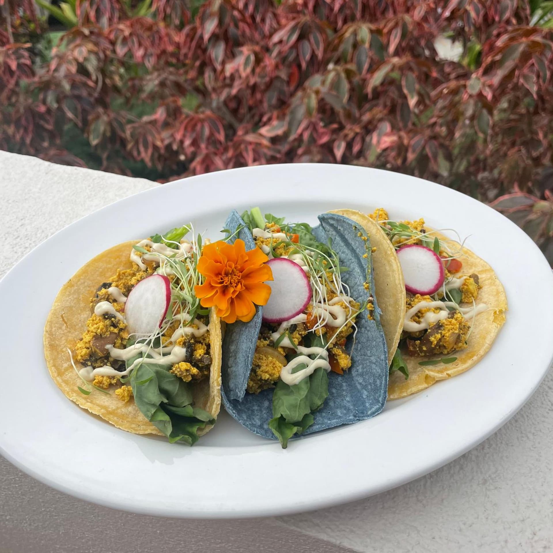 Casa Grande Mountain Retreat - Adults Only - Photo 29