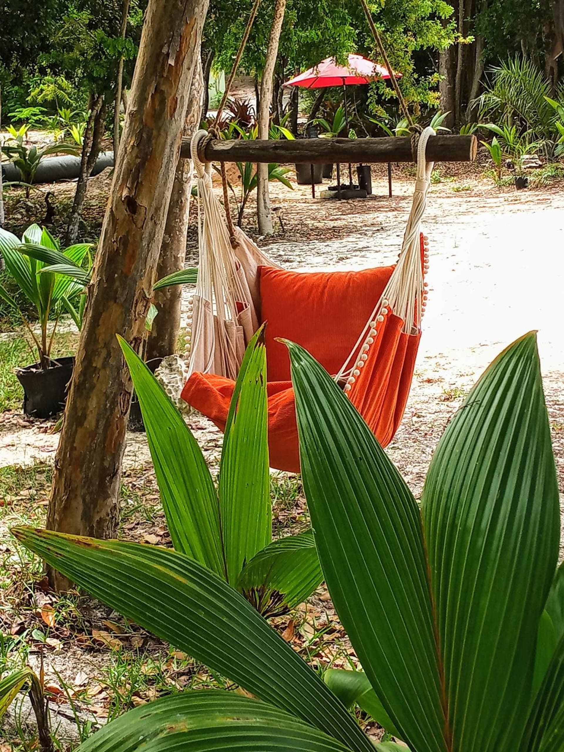 The Pilot House - Photo 3