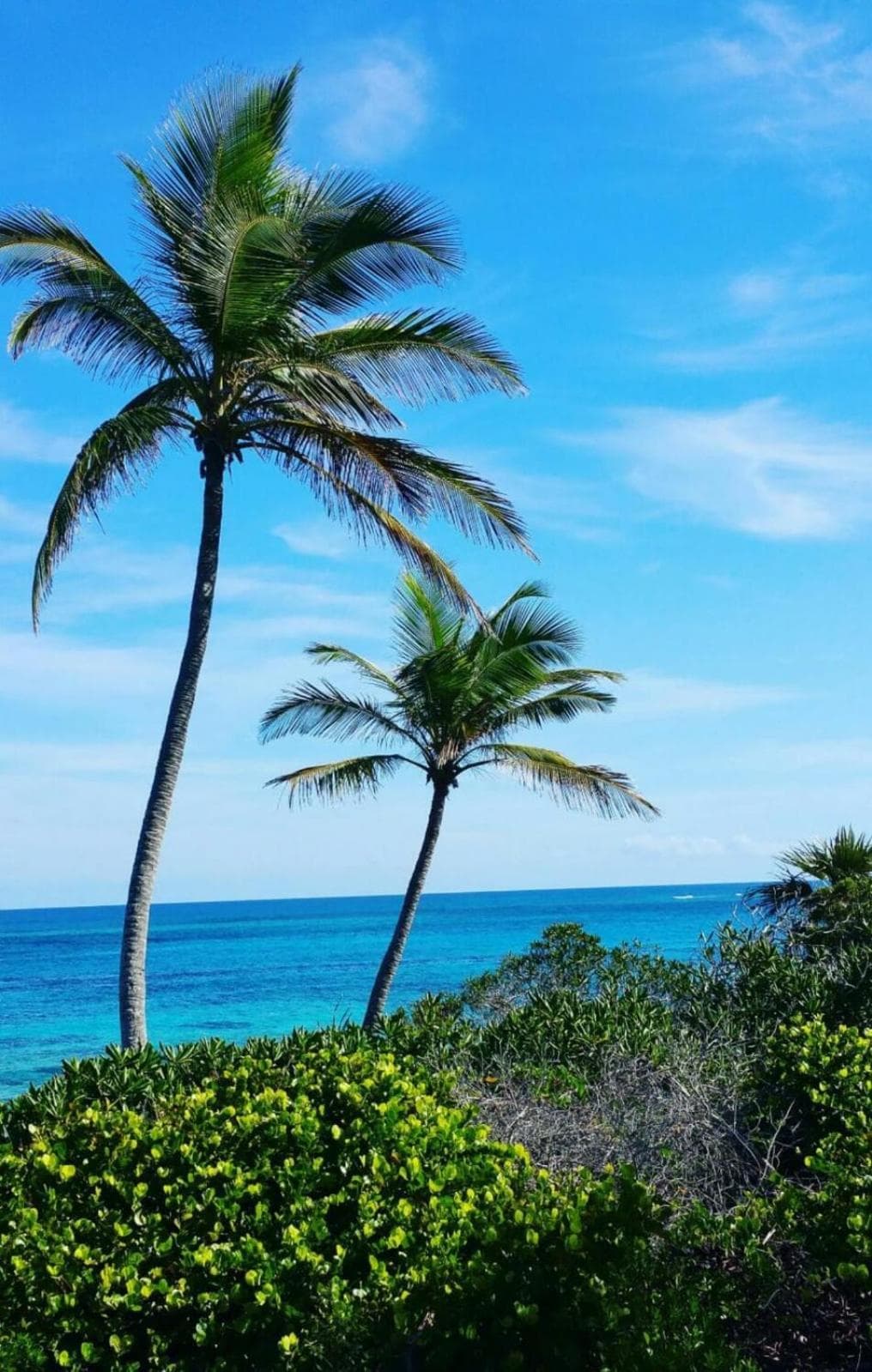 The Pilot House - Photo 12