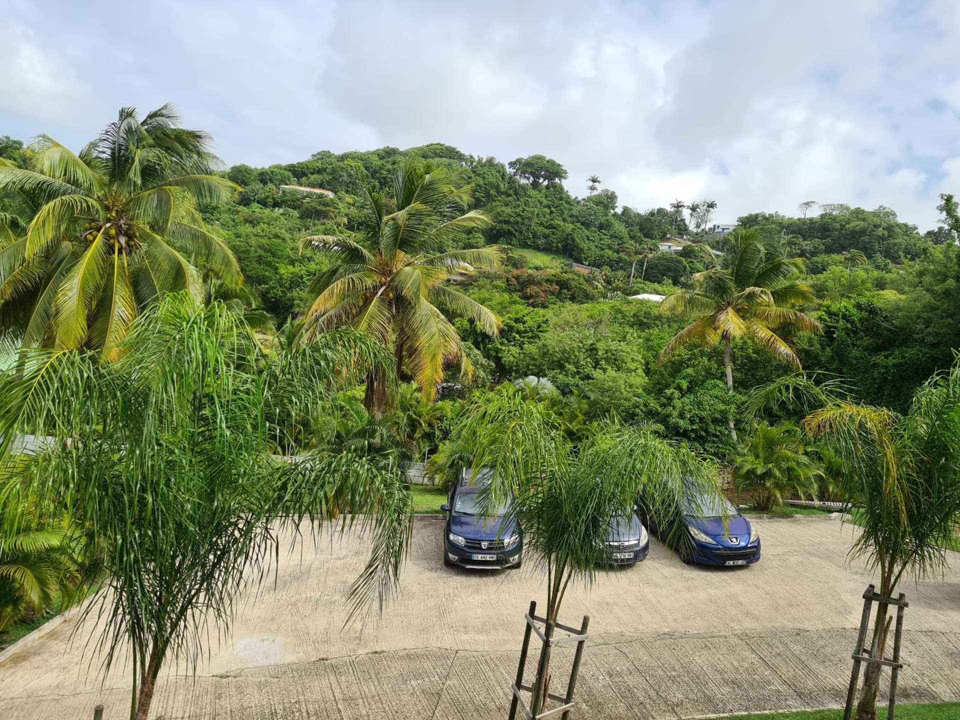 Villa Clémence - Photo 43