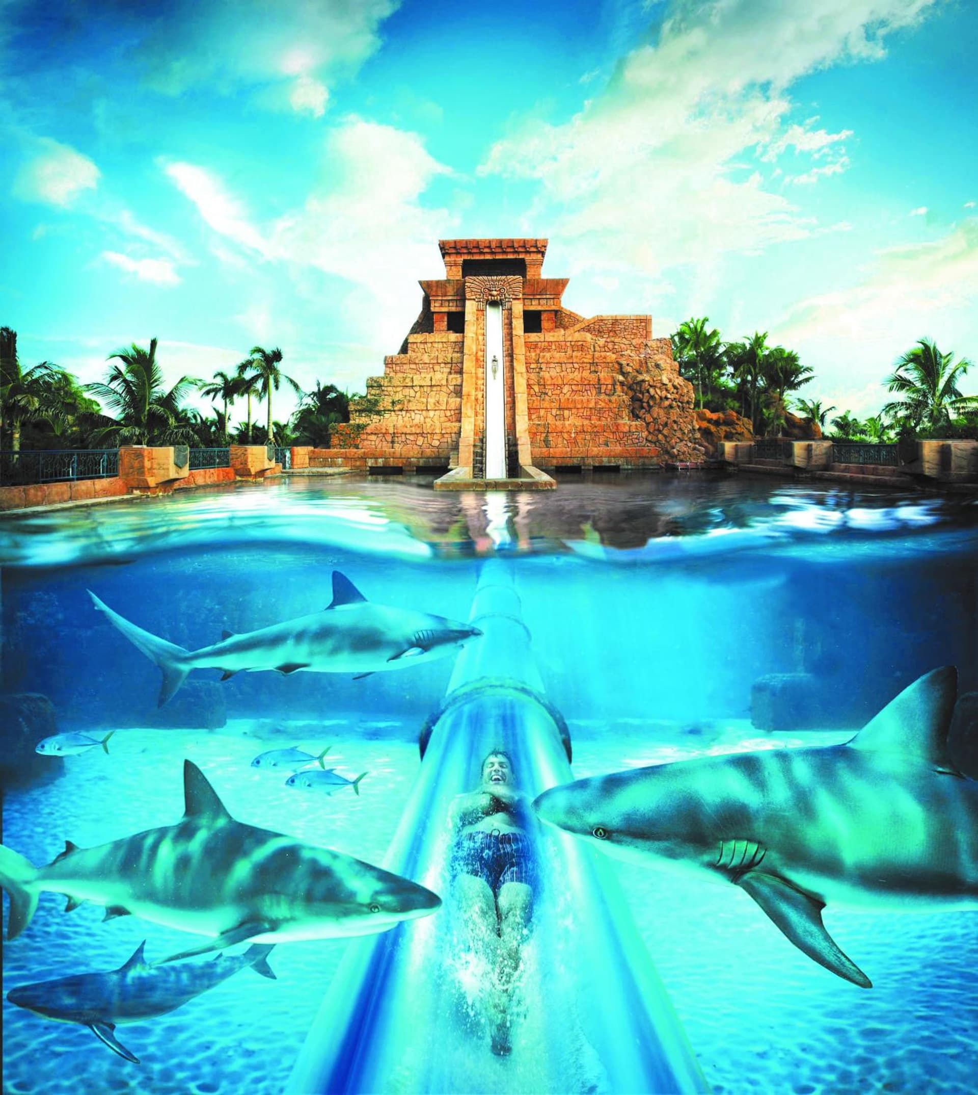 Comfort Suites Paradise Island - Photo 3