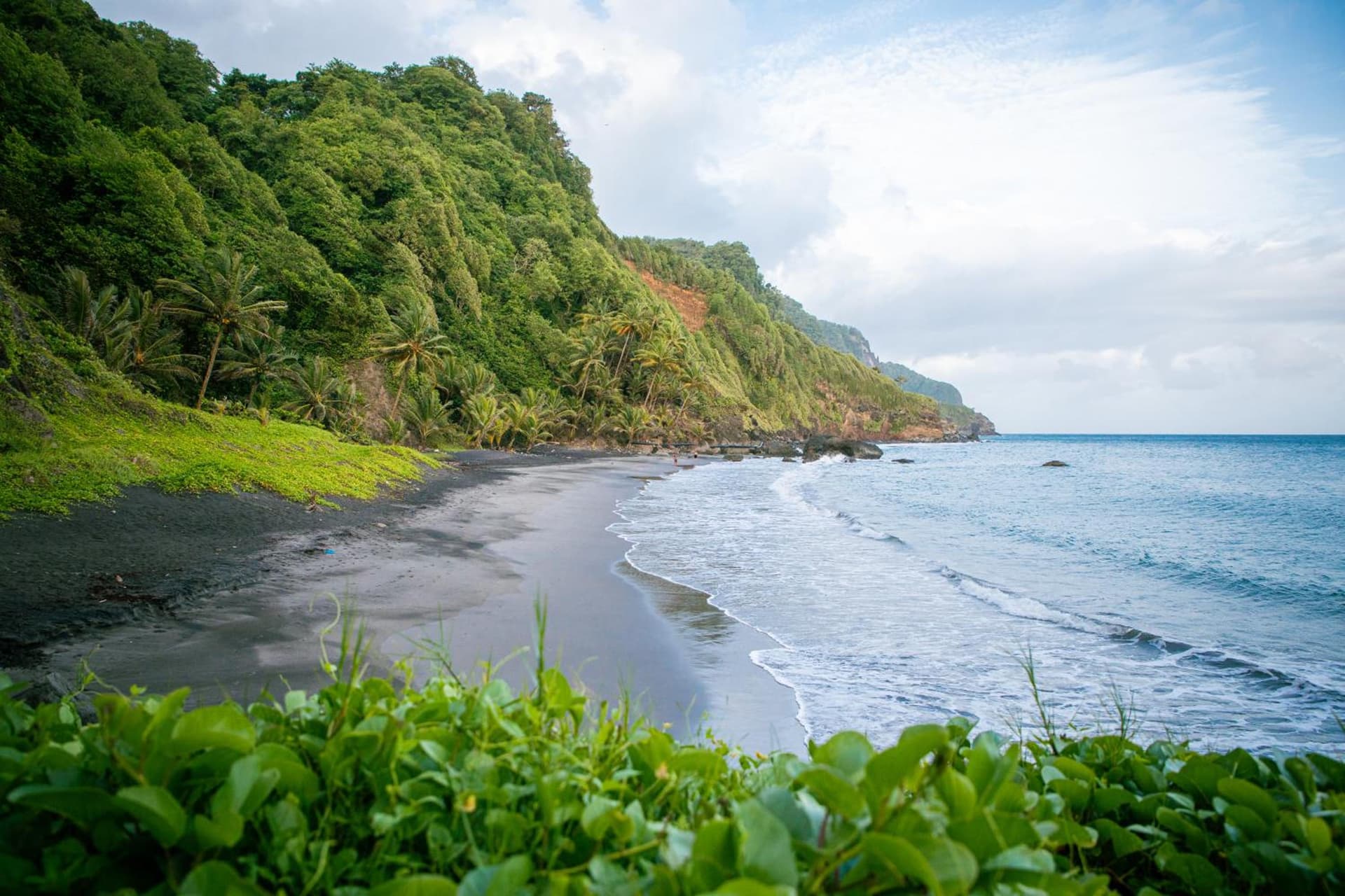 Tante Arlette - Photo 33