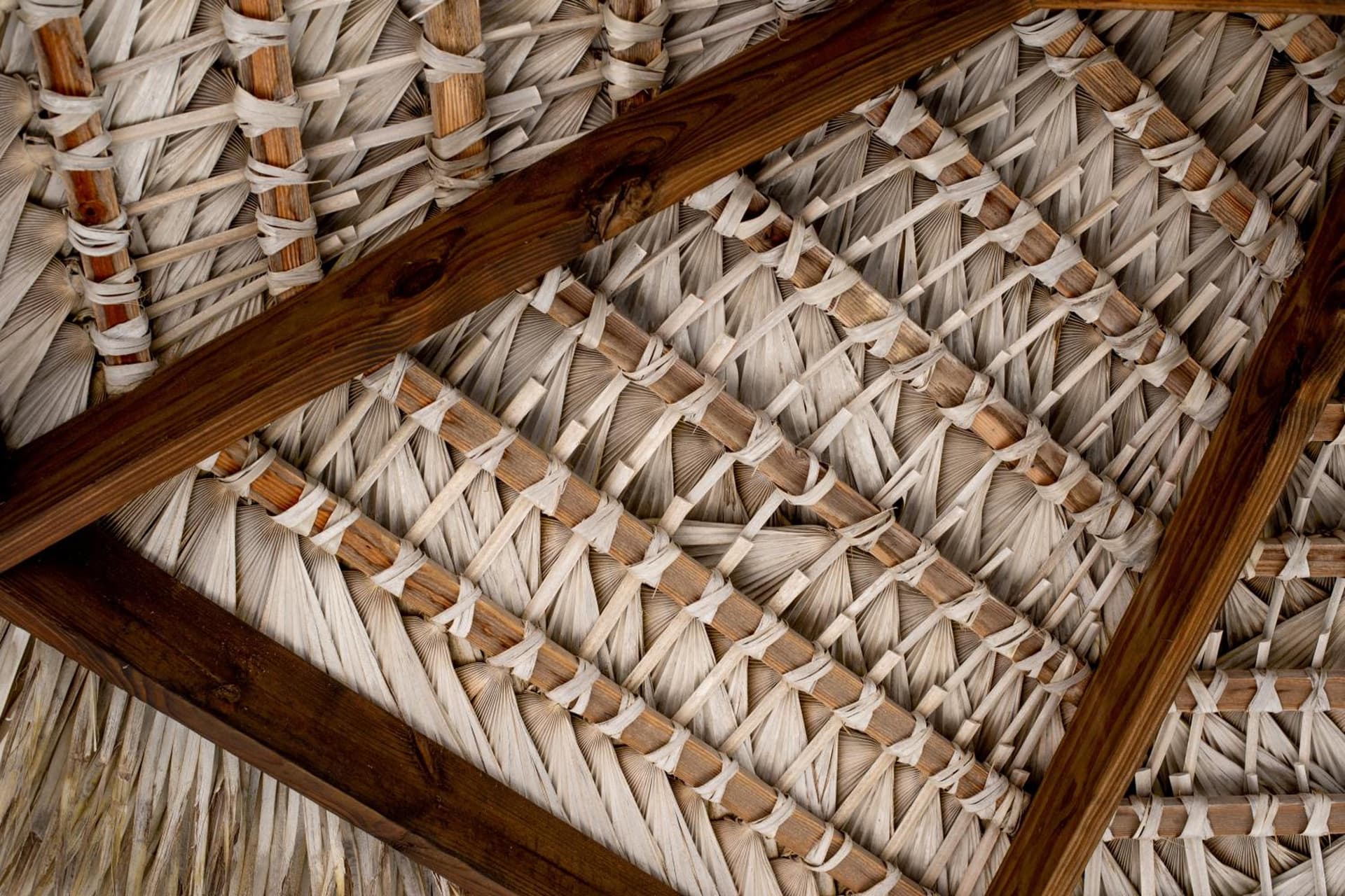 Le Soleil D'or - Photo 22