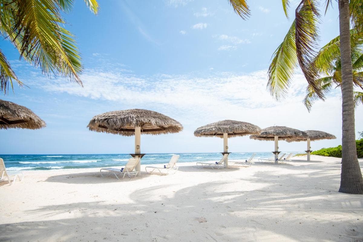 Le Soleil D'or - Photo 37